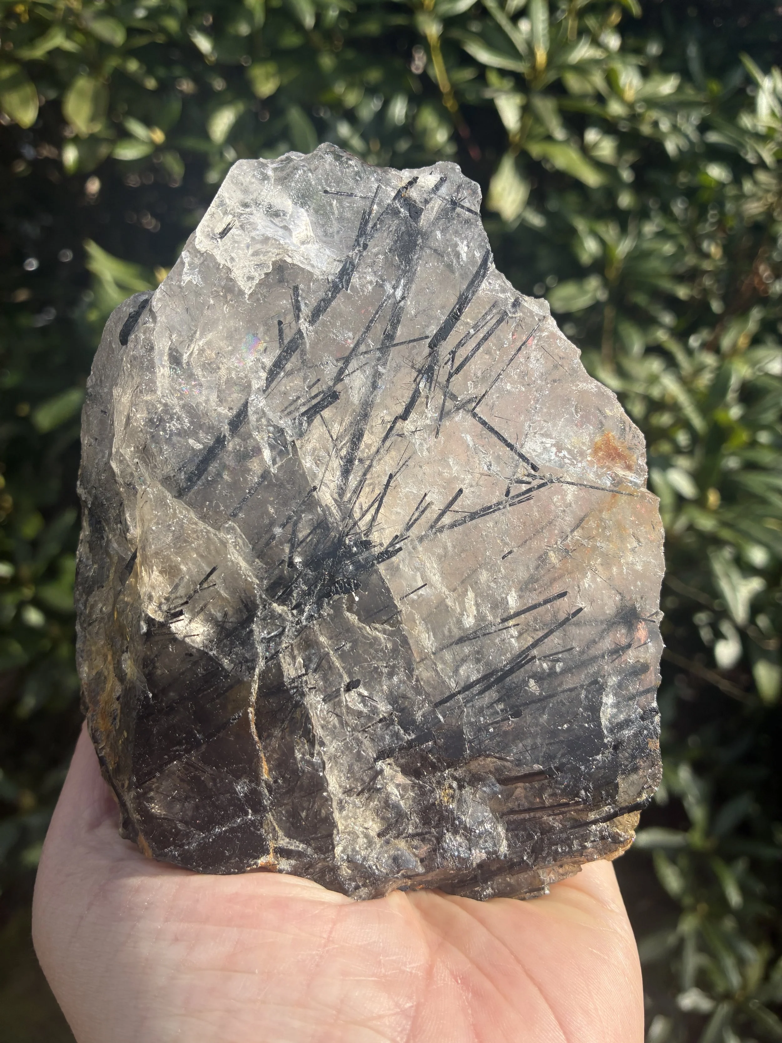 Tourmaline in Quartz Semi-Polished, 828g