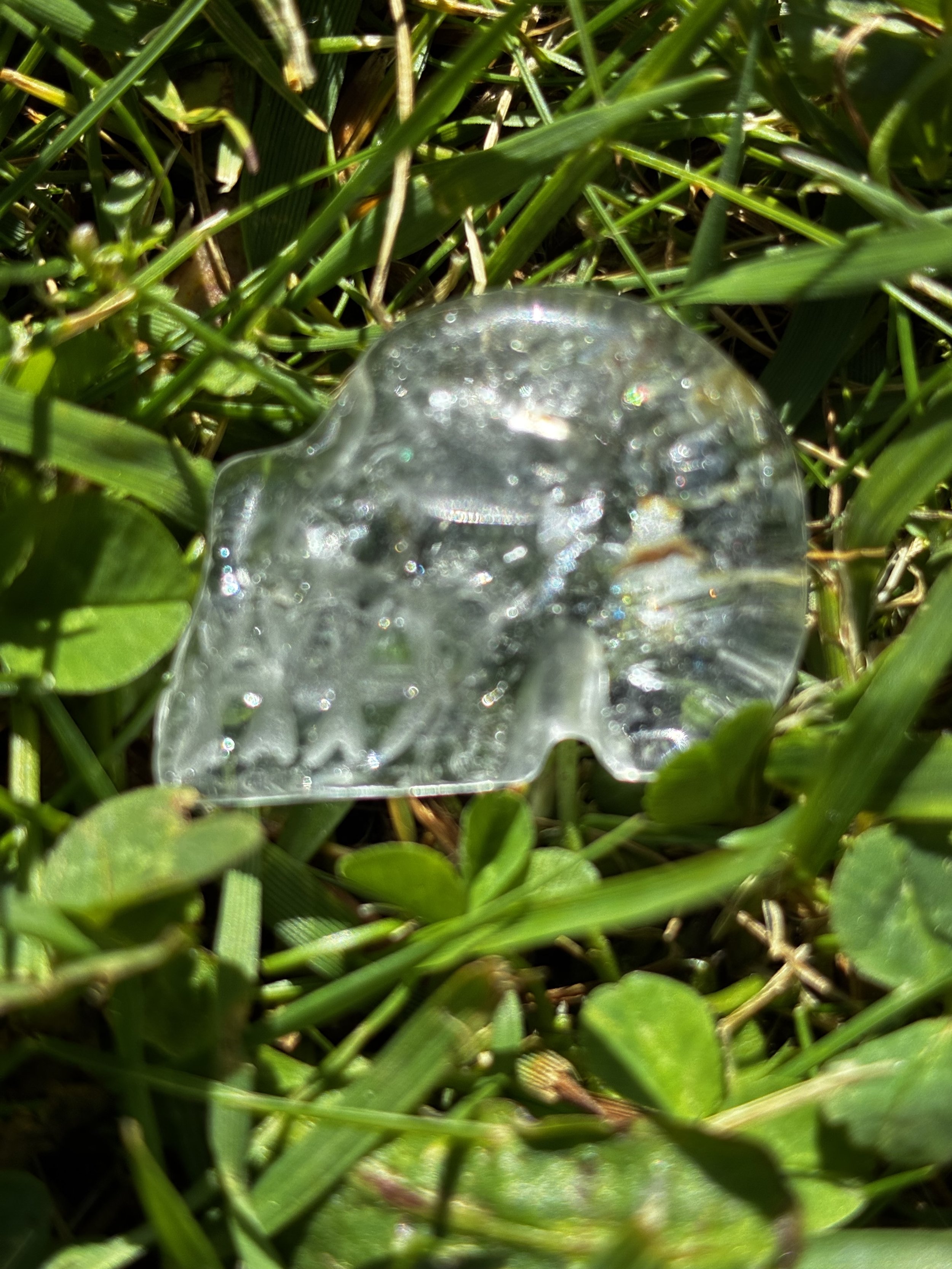 IMG_0900.jpeg
