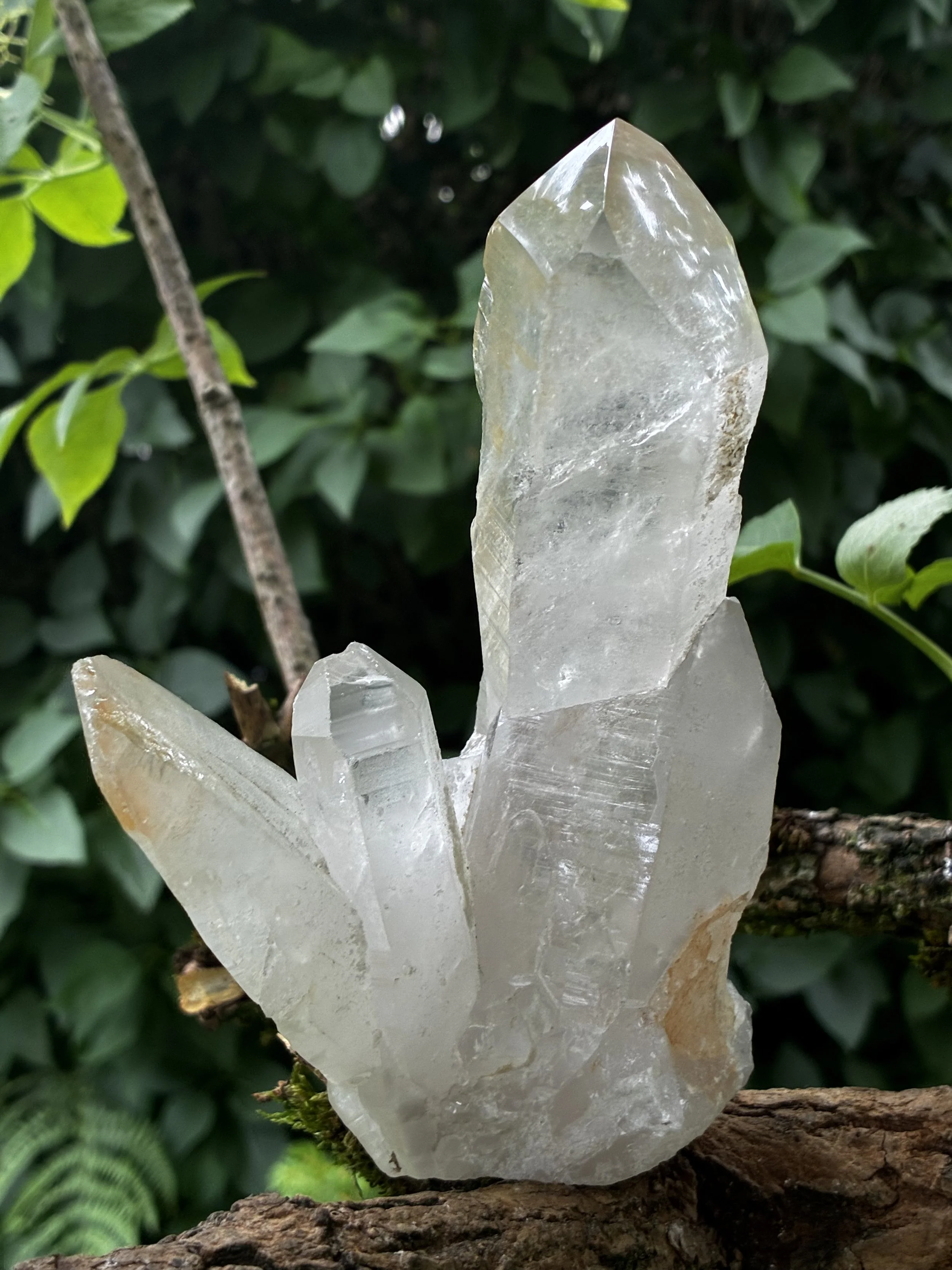 Brazilian Lemurian Quartz Cluster – Self-Healed Formation, 560g