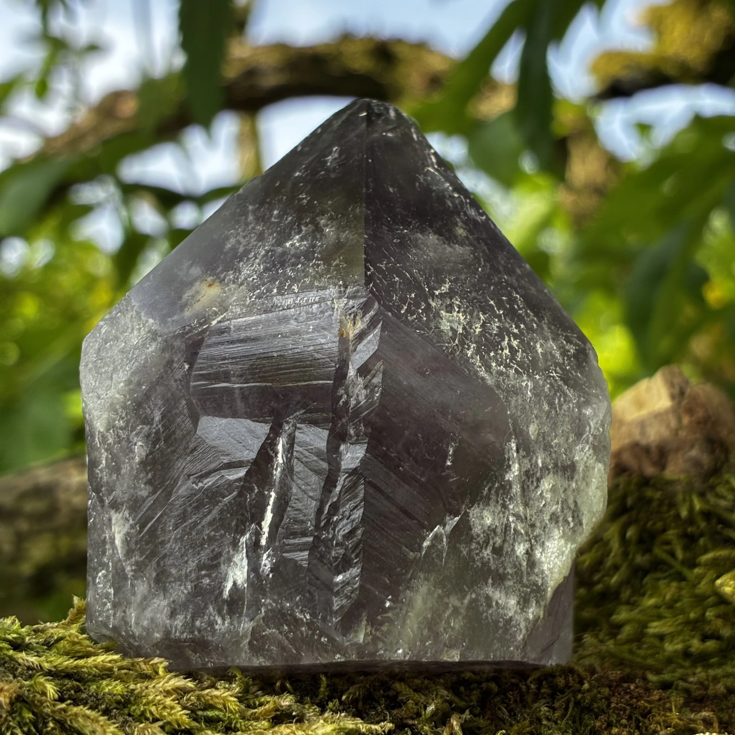 IMG_2606.jpeg