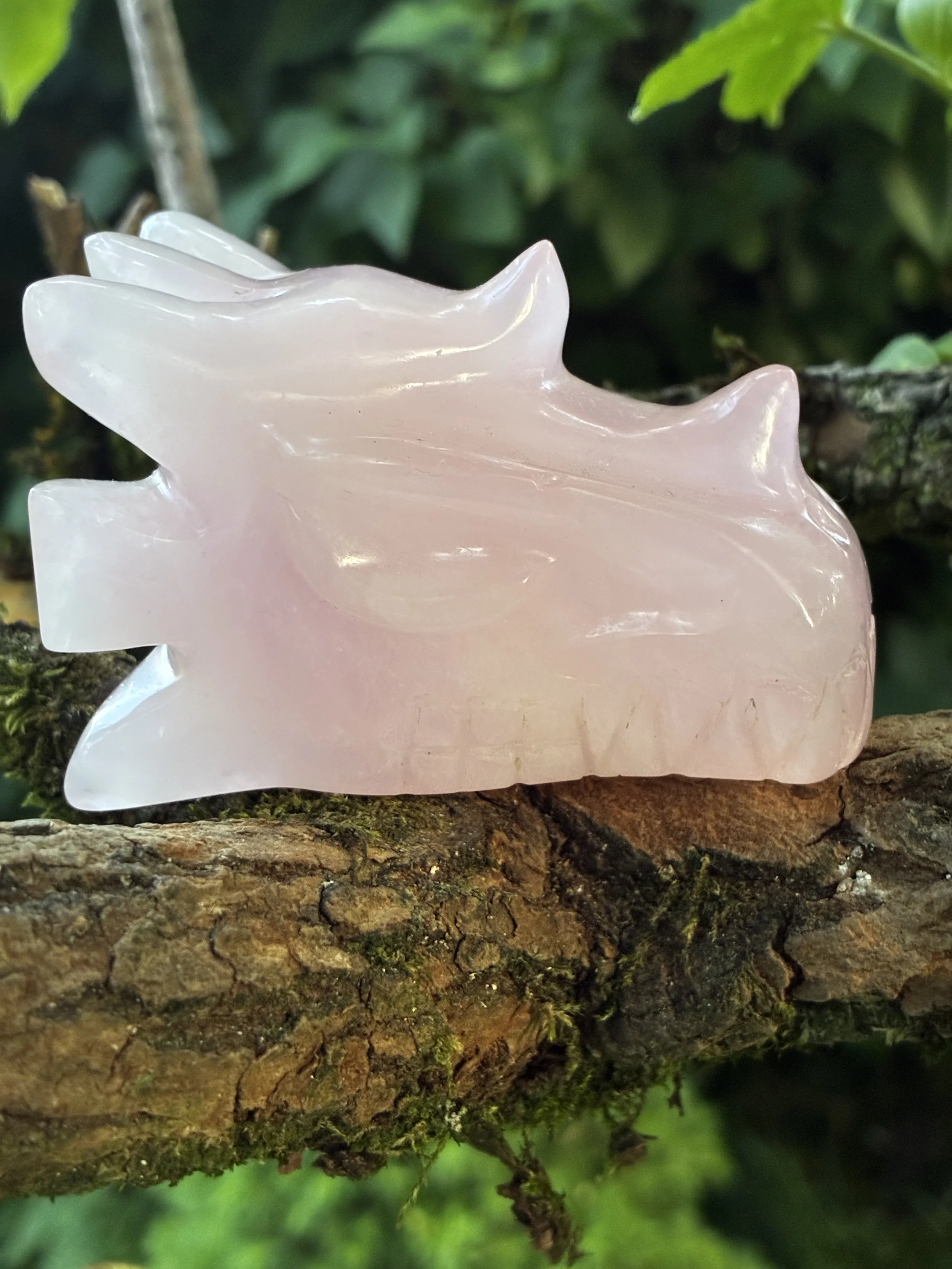 Brazilian Rose Quartz Dragon Carving, 217g