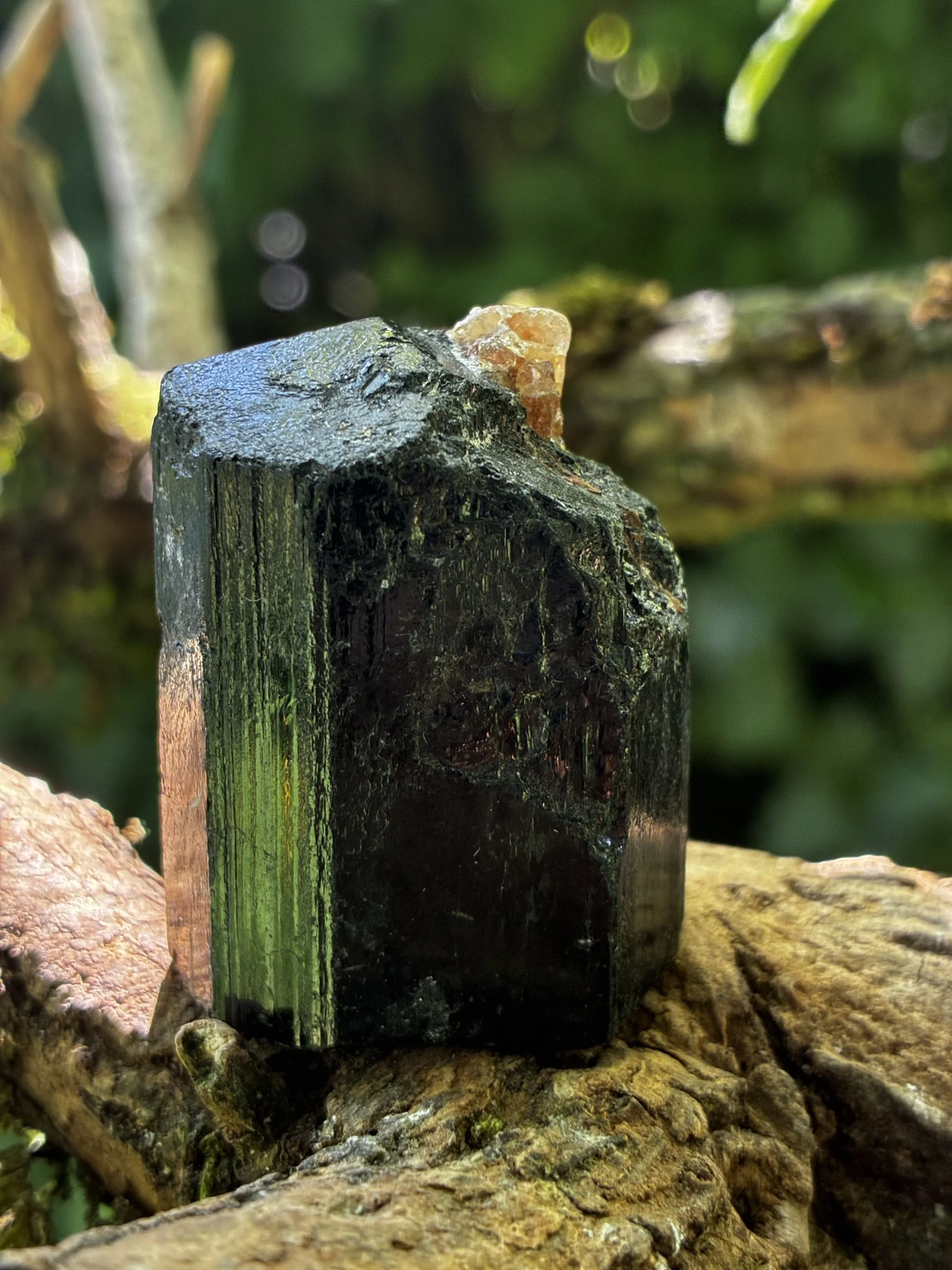 IMG_5417.jpeg