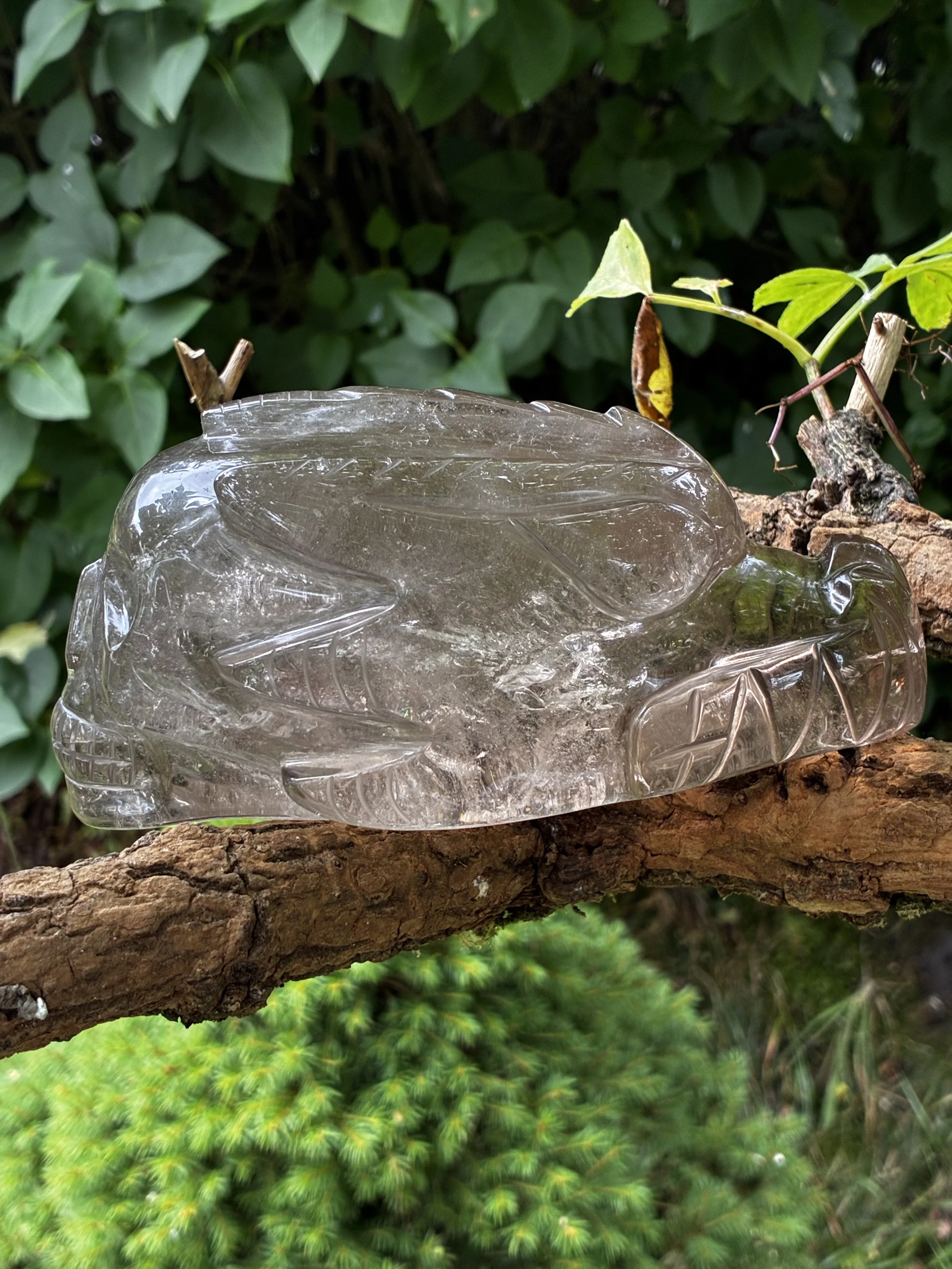 Rare Large Brazilian Clear Quartz Dragon and Skull Combined Carve, 658g