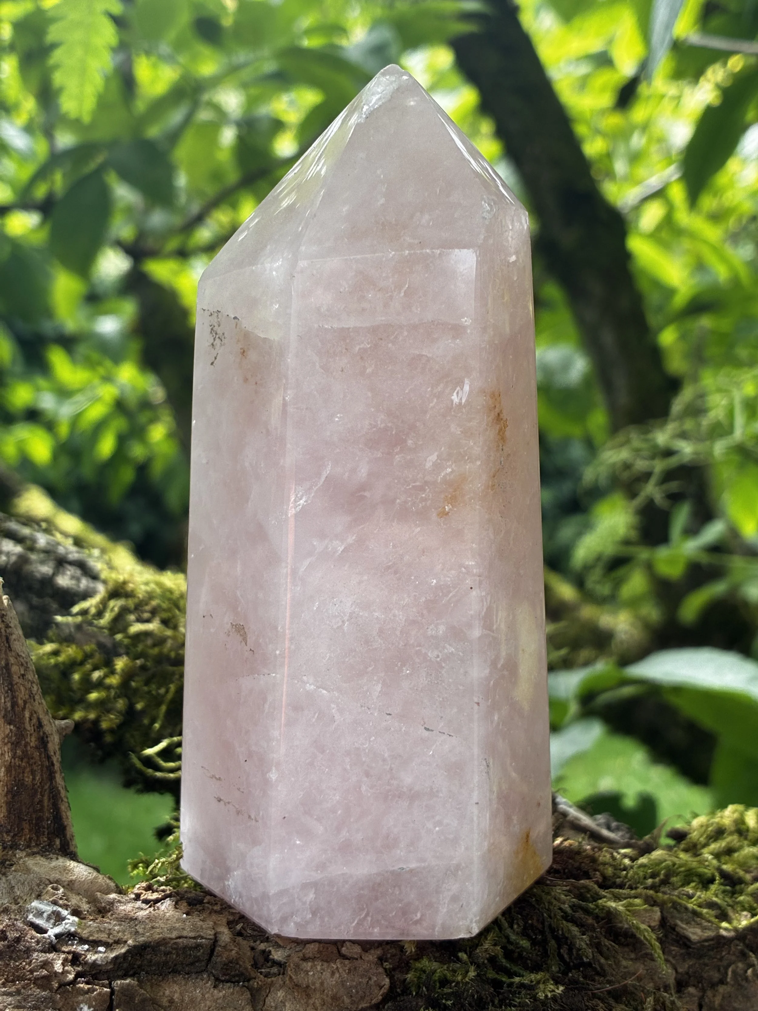 Chamuel’s Light - Brazilian Rose Quartz Generator Point, 325g