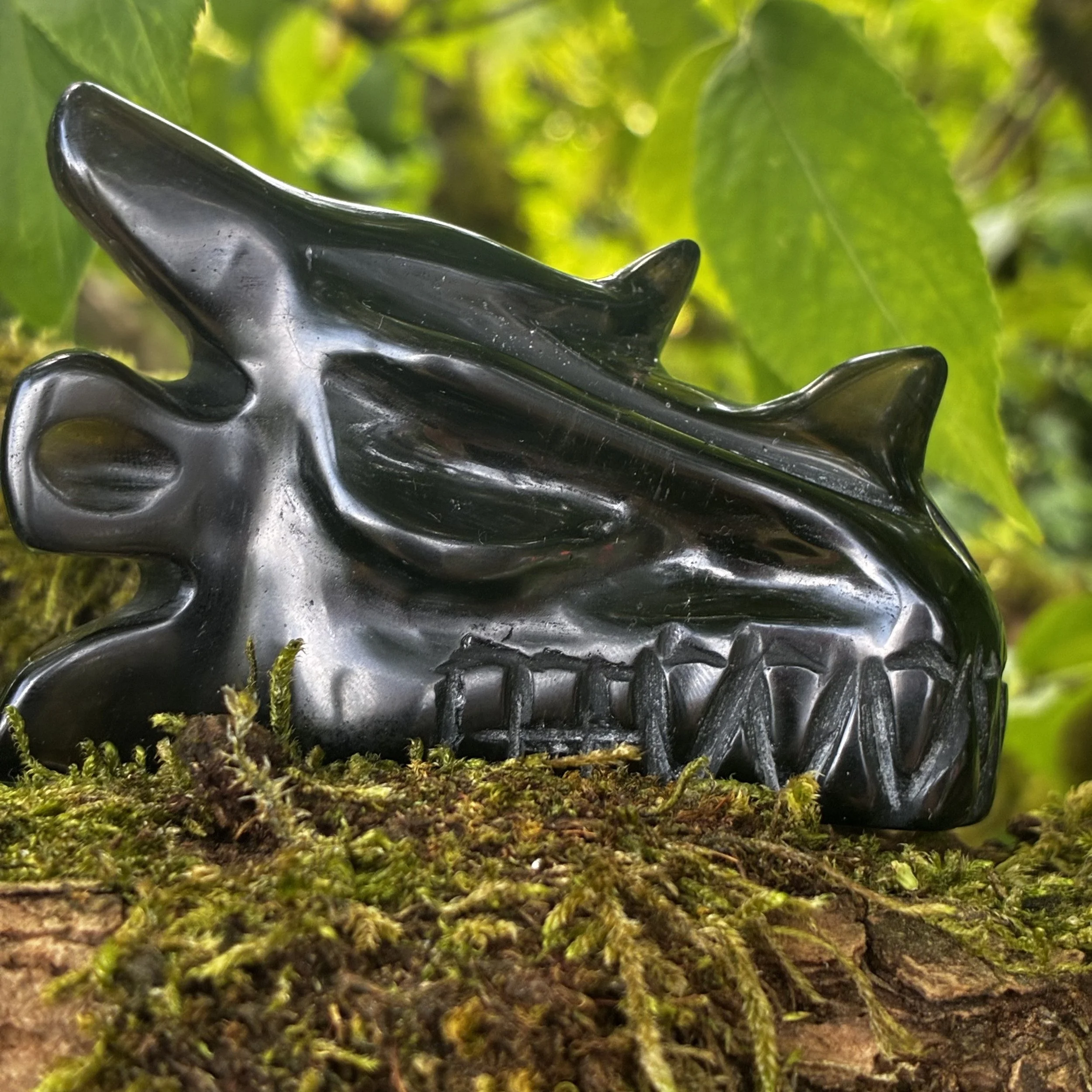 Horizon: Morion Smokey Quartz Dragon , 182g
