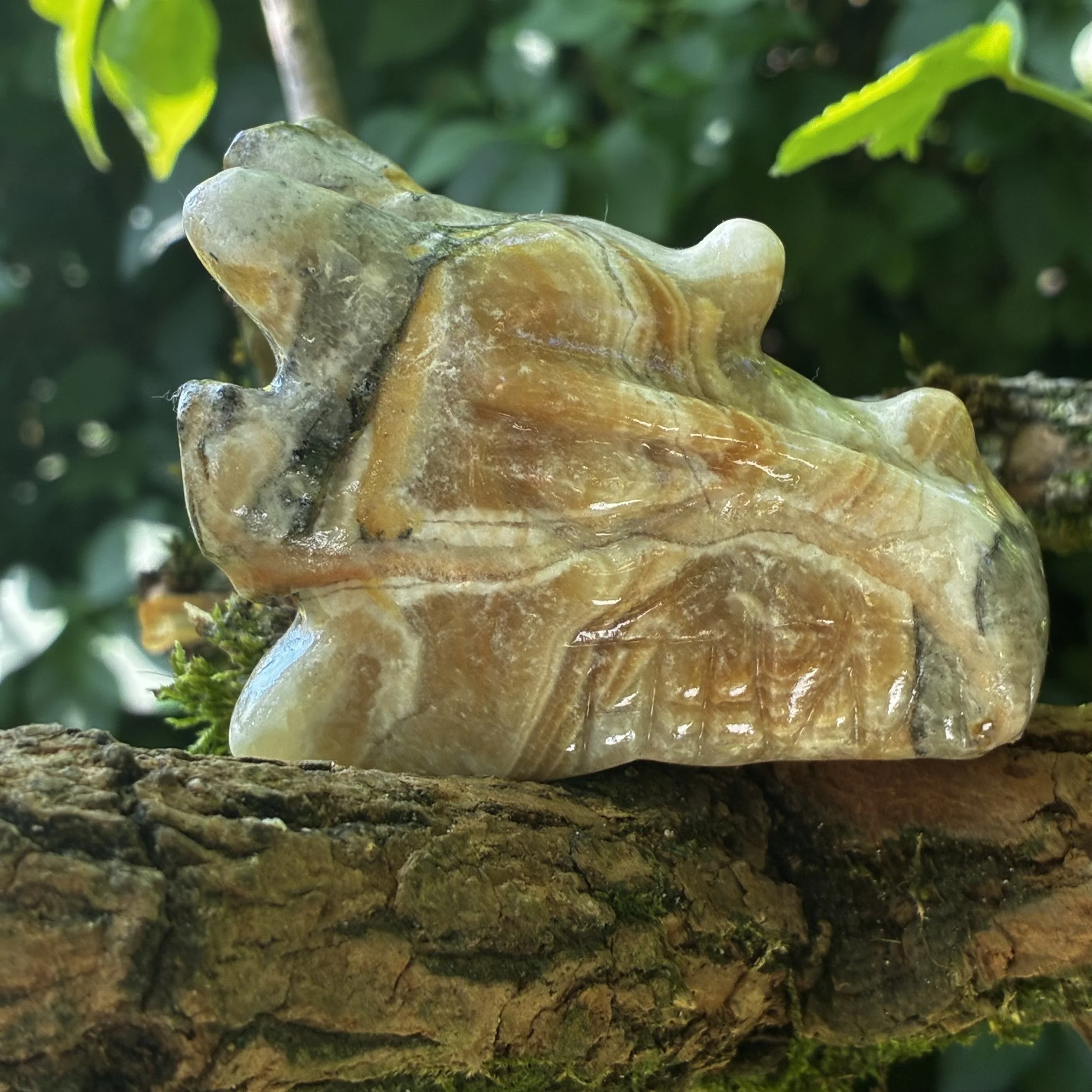 Banded Yellow & Black Fluorite Dragon Carving – Brazil, 281g