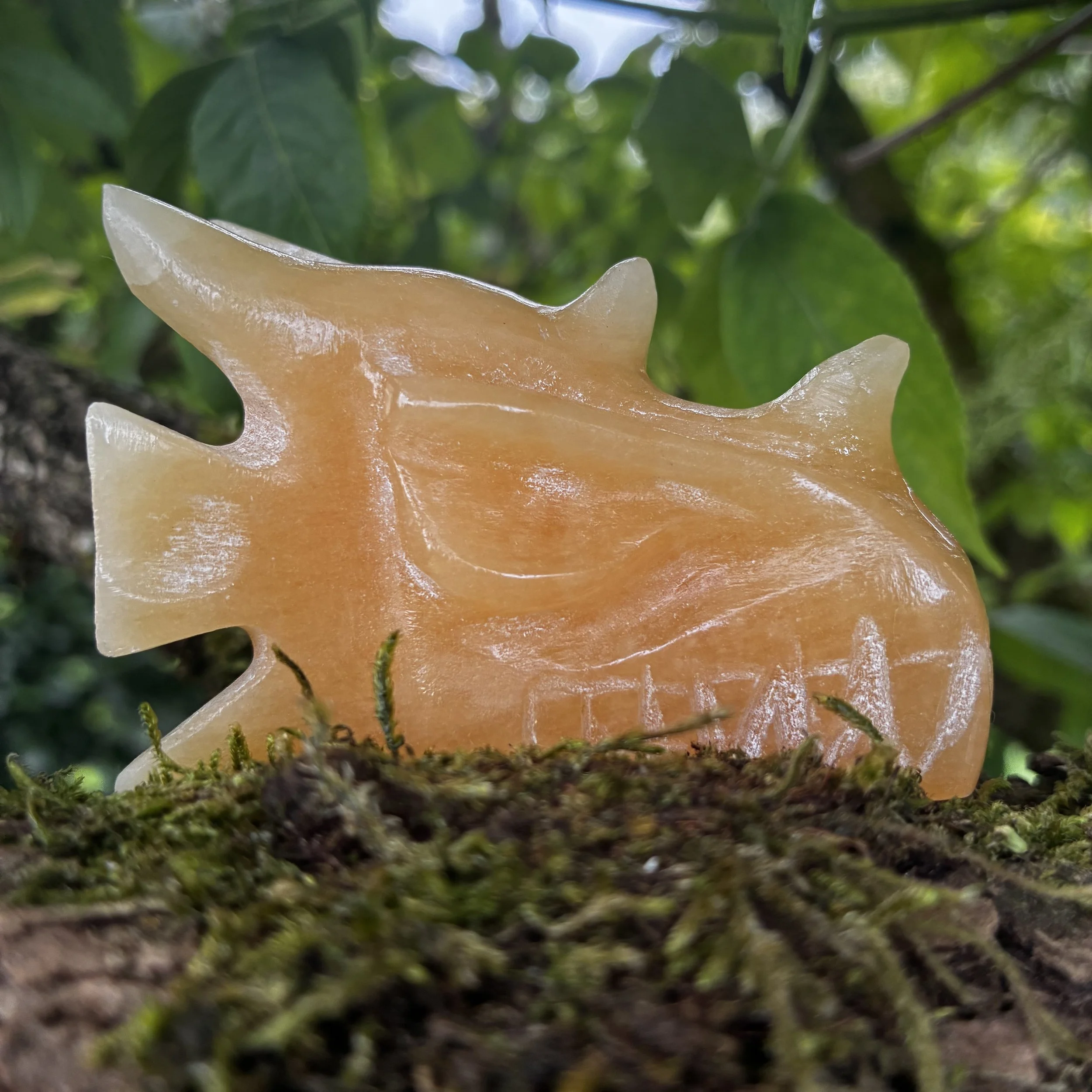 Sunforge: Yellow calcite Dragon Carved by Wilson, 182g