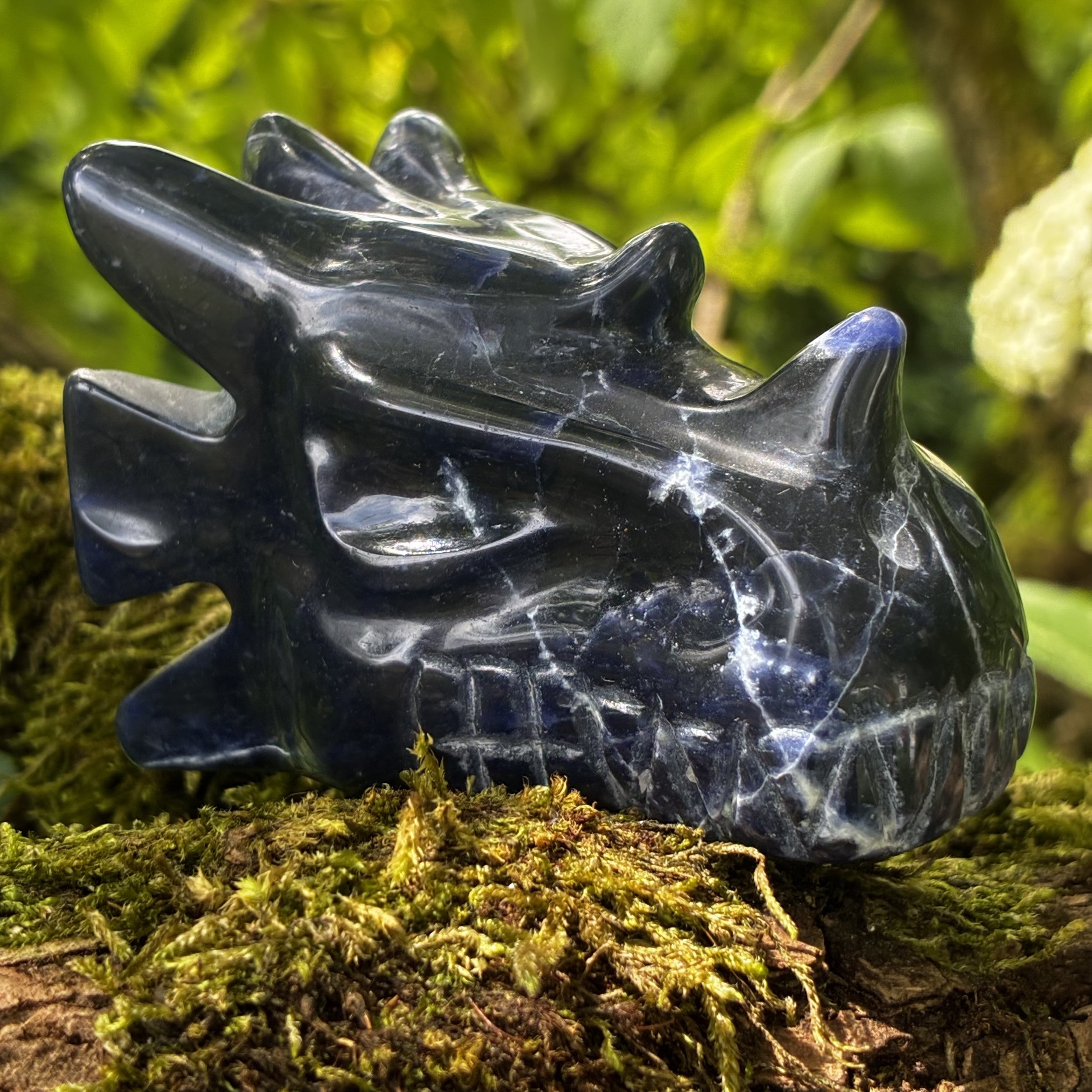 Dark Sodalite Brazilian Dragon Carving – 165g