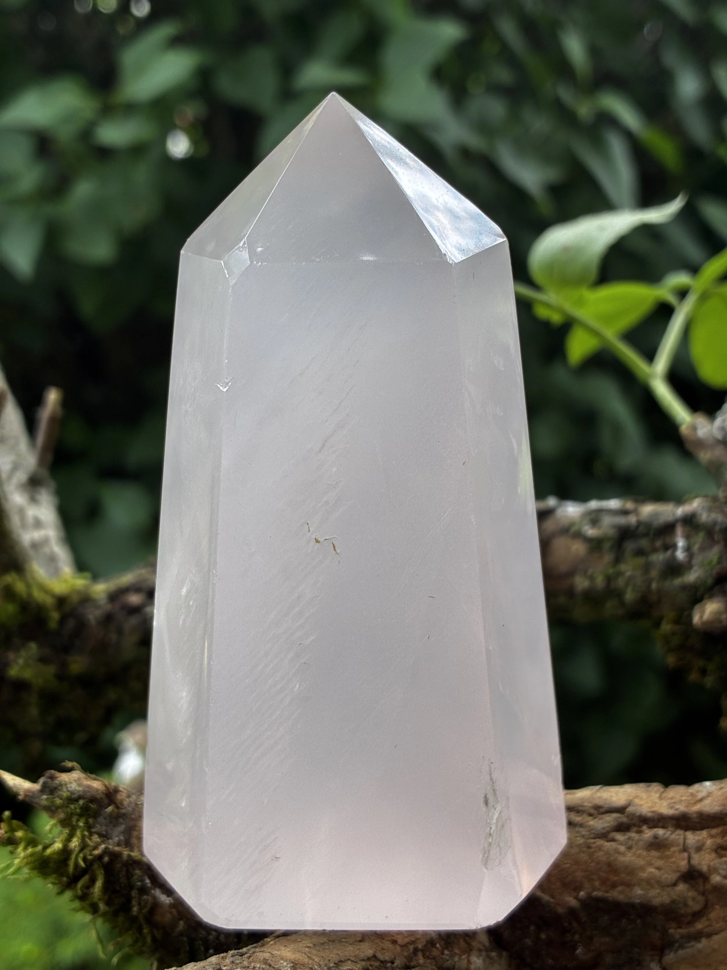 Brazilian Rose Quartz Generator Point, 327g