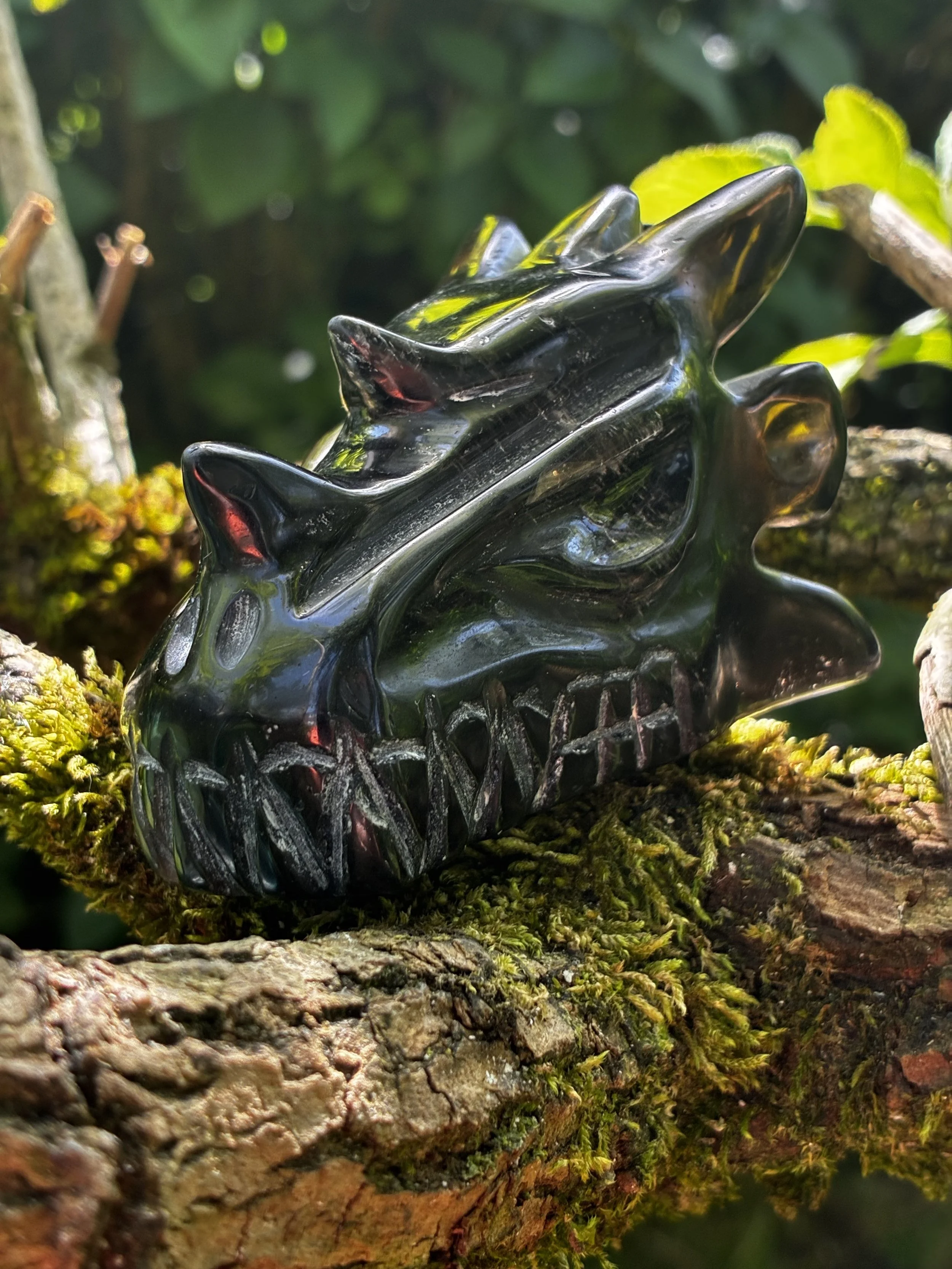 Horizon: Morion Smokey Quartz Dragon , 182g