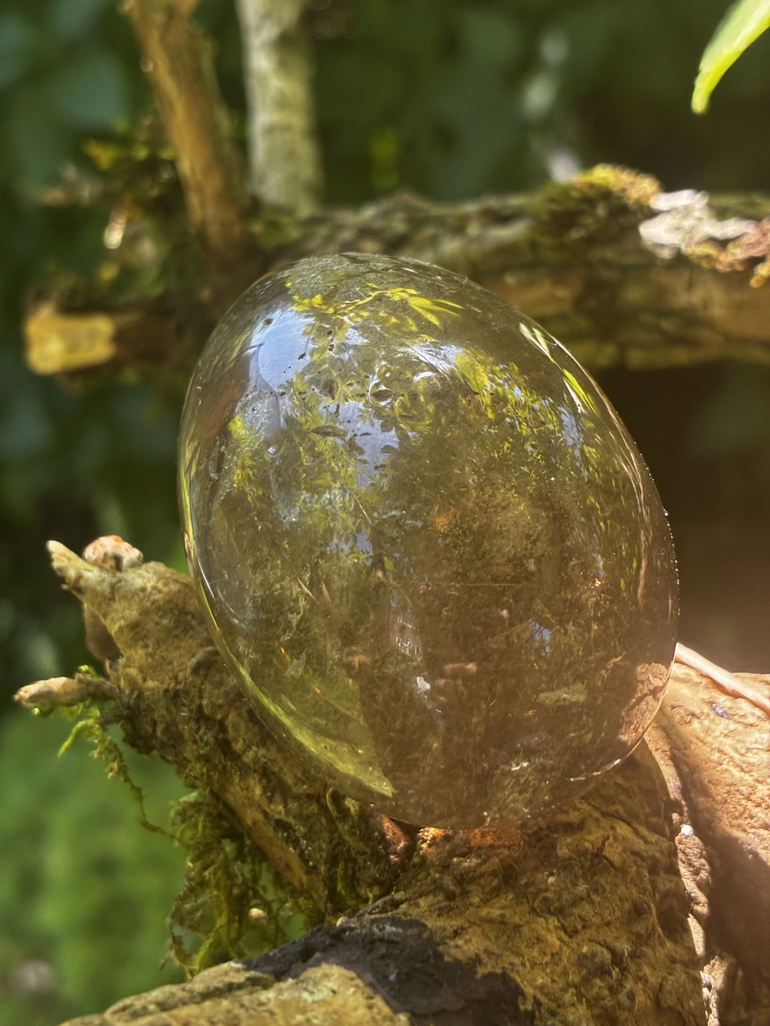 IMG_5524.jpeg