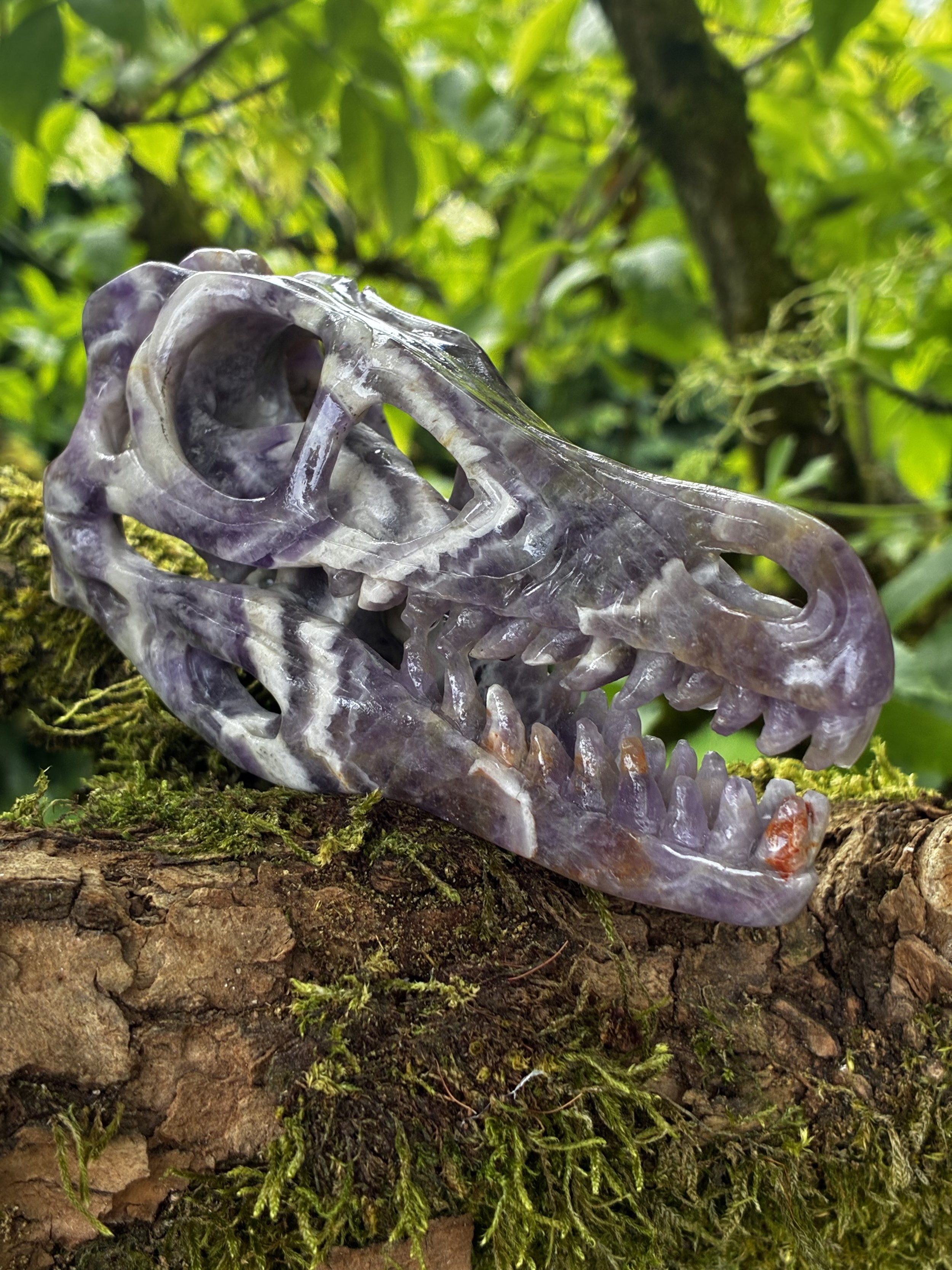 Chevron Amethyst Dinosaur Skull Carving, 185g