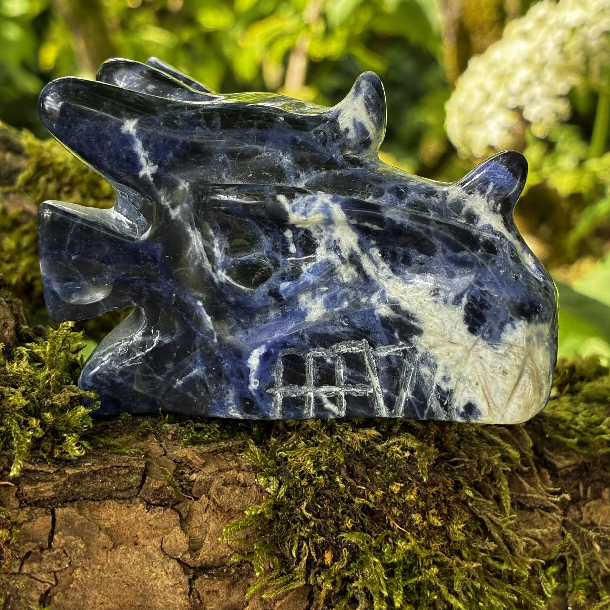 Sodalite Brazilian Carved Dragon, 171g