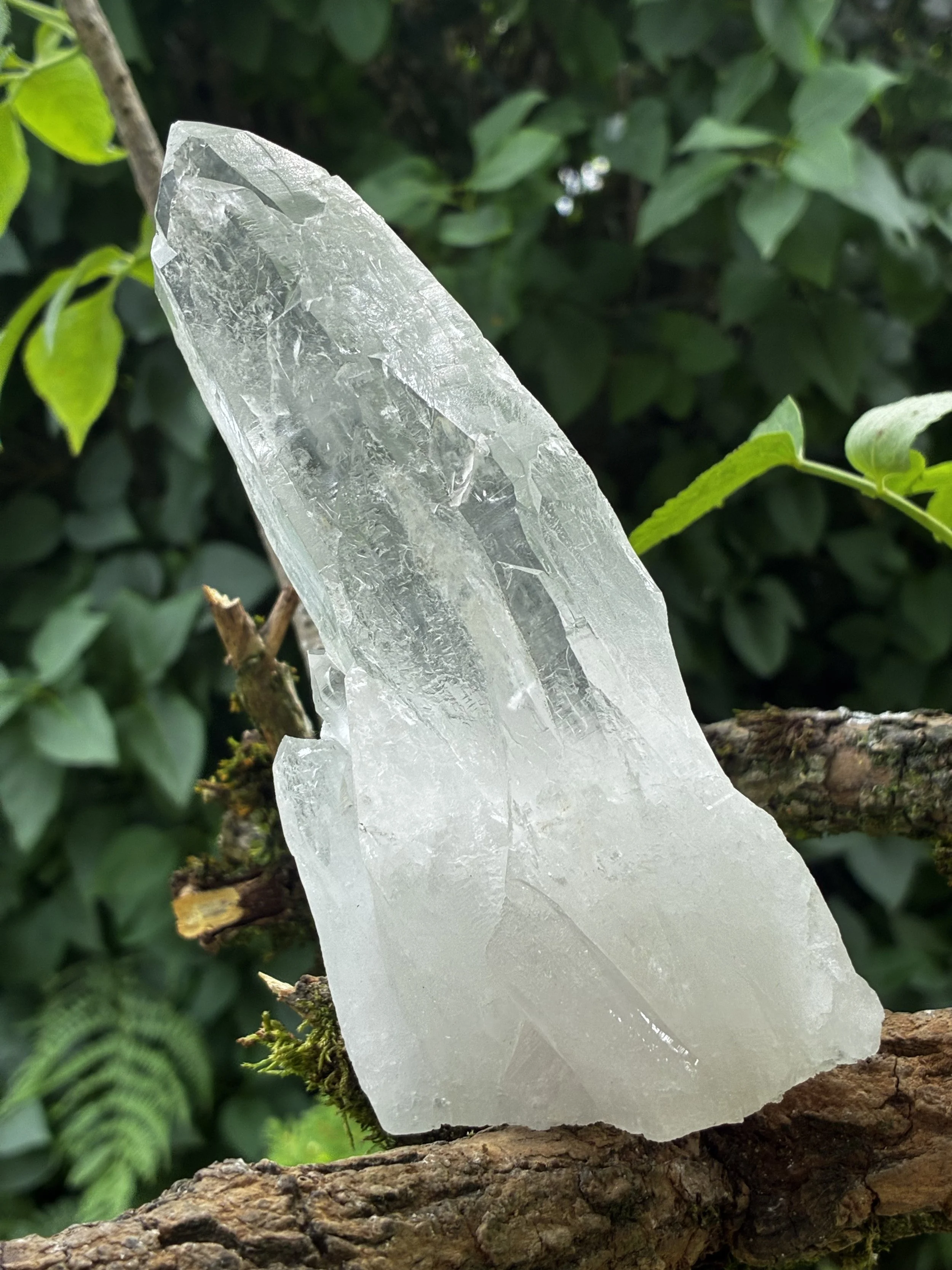 The Cathedral of Emergence: Brazilian Lemurian Cathedral Quartz with Manifestation Growth, 565g