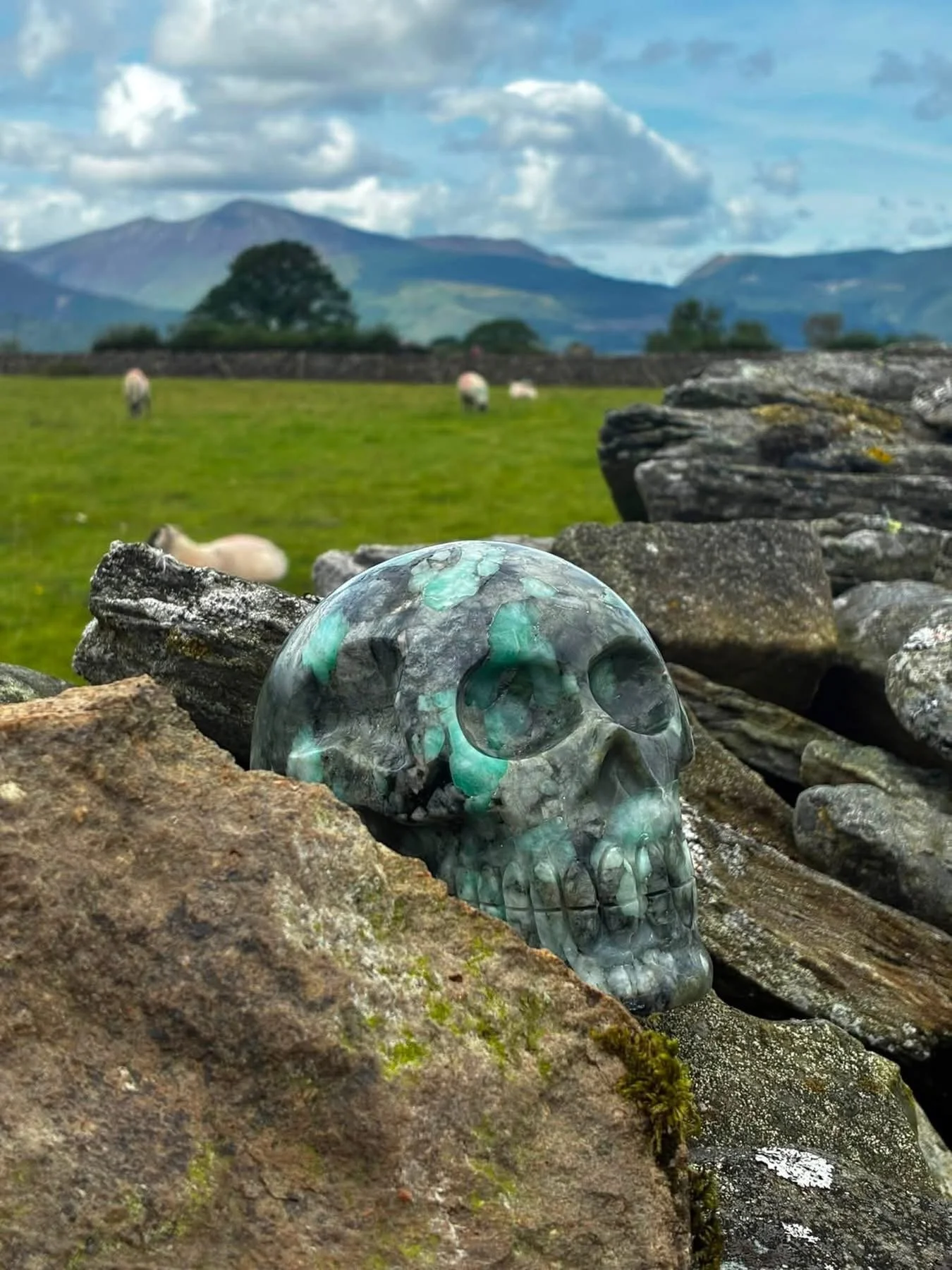 Field Crystal - Brazilian Emerald Crystal Skull carved by Wilson, 1924g