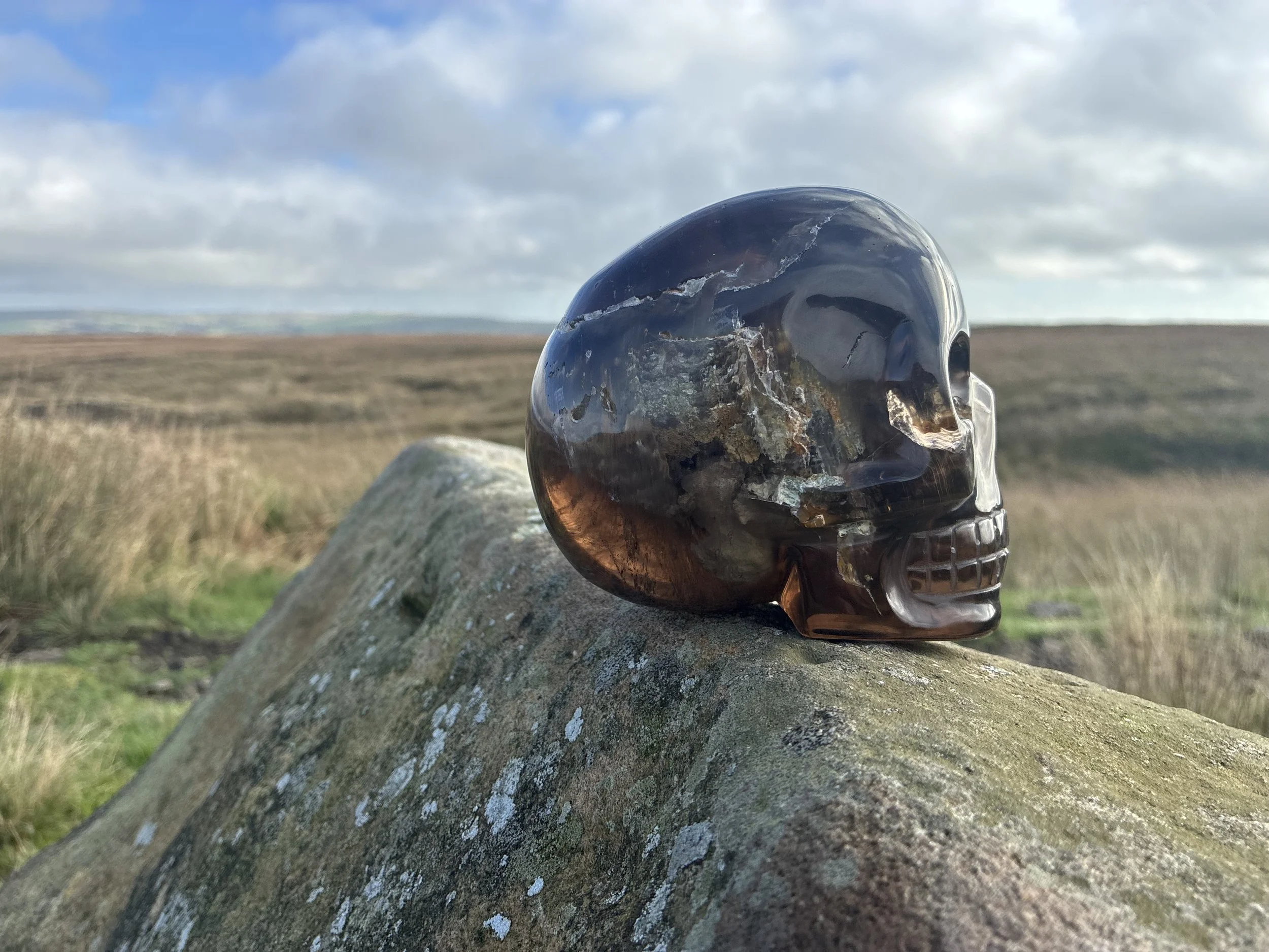 Field Crystal - Rare Large Brazilian  Morion Smokey Quartz & Lodalite Skull, 1277g