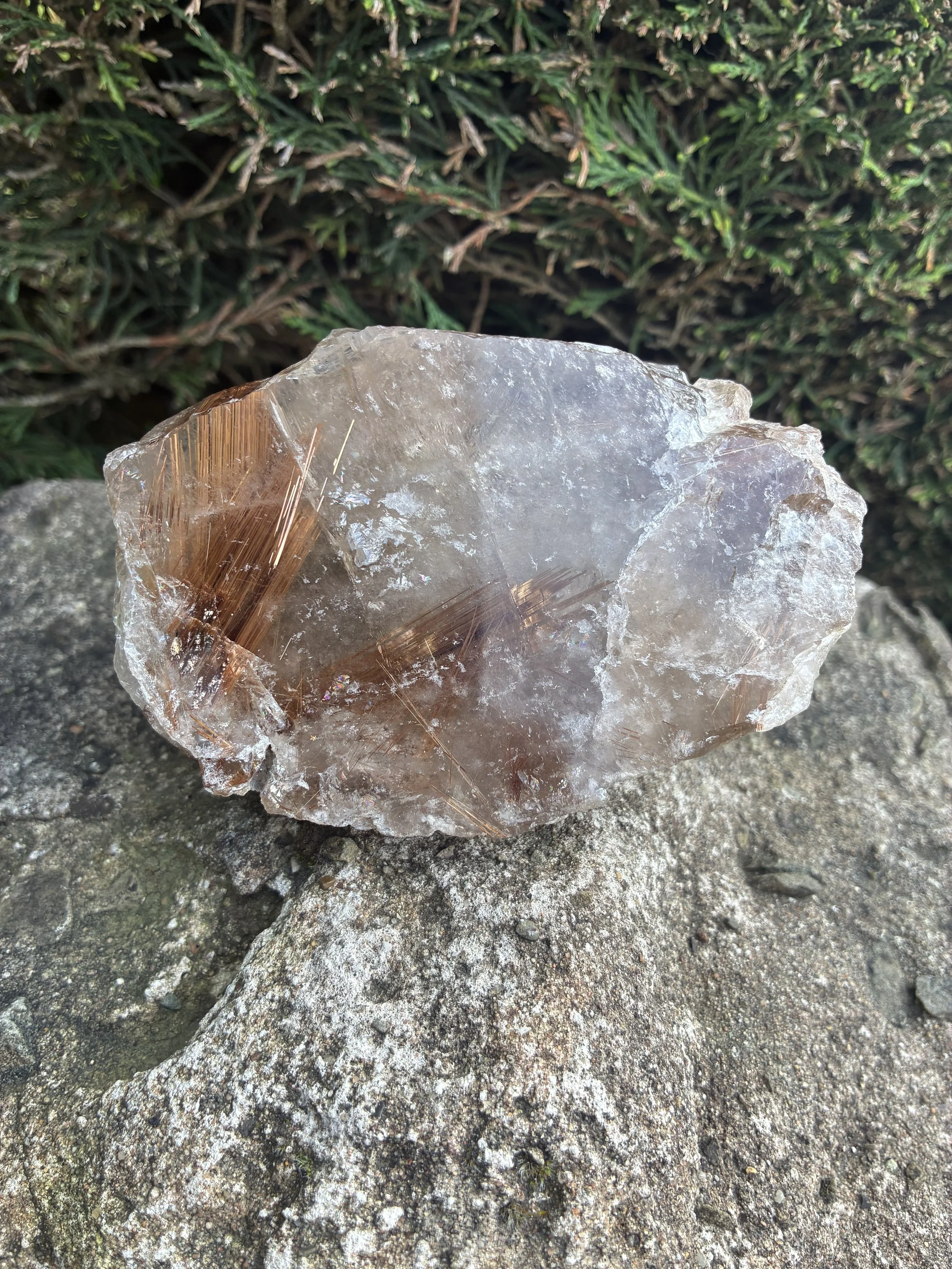 Semi-Polished Golden Rutile Quartz Display Piece, 590g