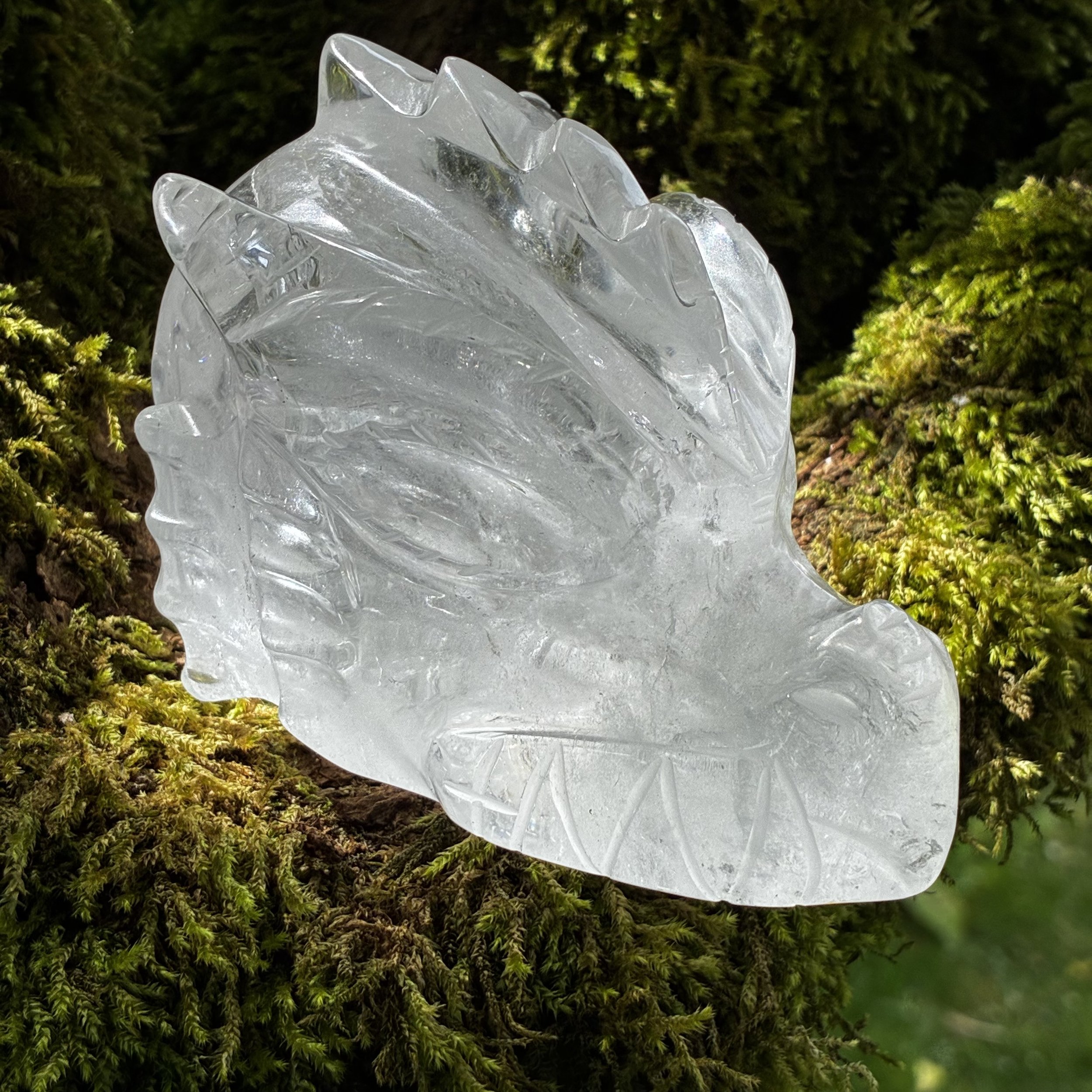 Rare Large Brazilian Clear Quartz Dragon and Skull Combined Carve, 658g
