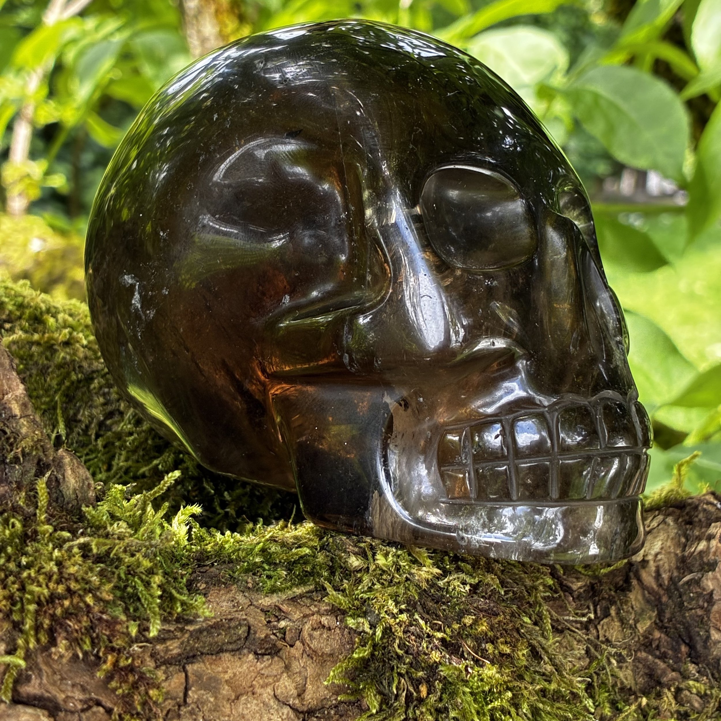 Large Brazilian Morion Smokey Quartz Skull, 952g 4 Inch
