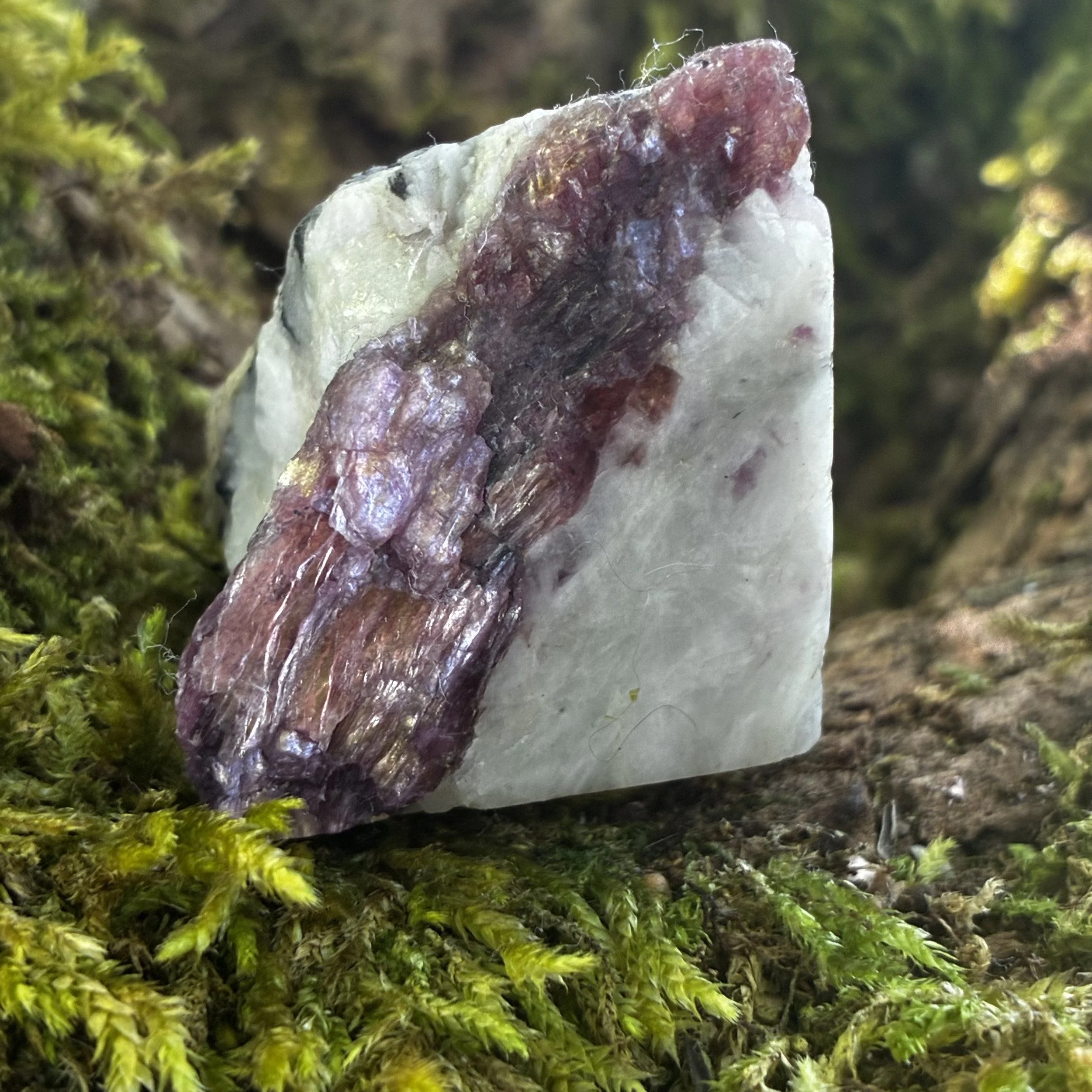 Natural Pink Tourmaline (Rubellite) with Black Tourmaline in Albite Matrix – 64g