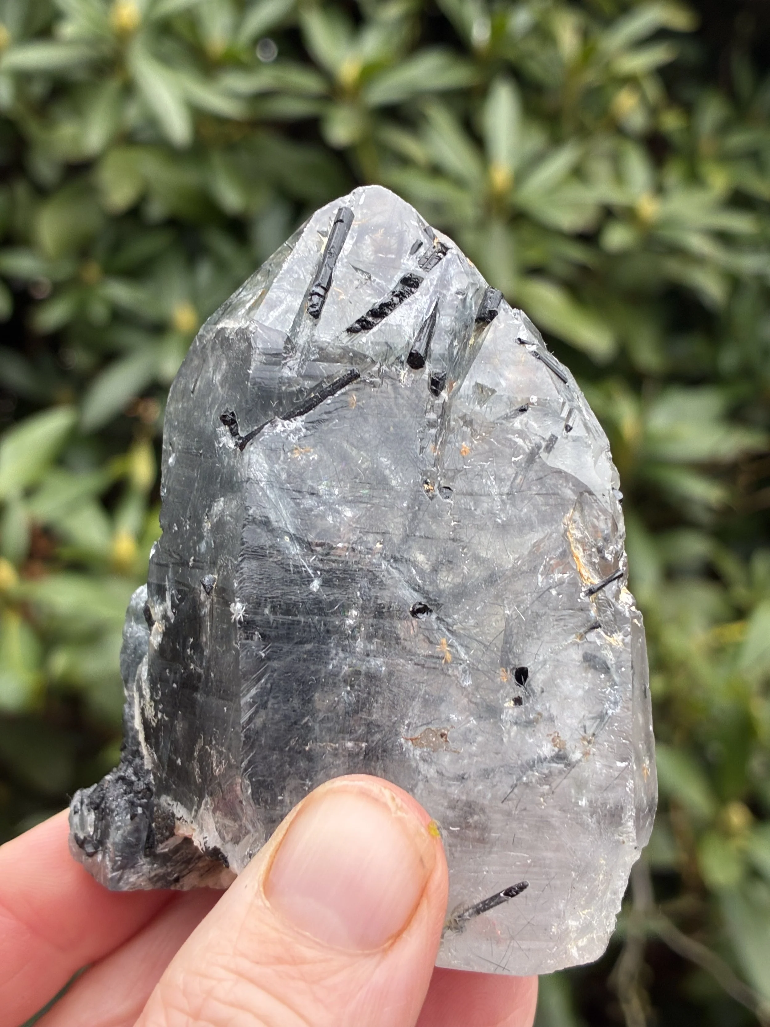 Black Tourmaline in Quartz semi-polished Crystal Point, 195g