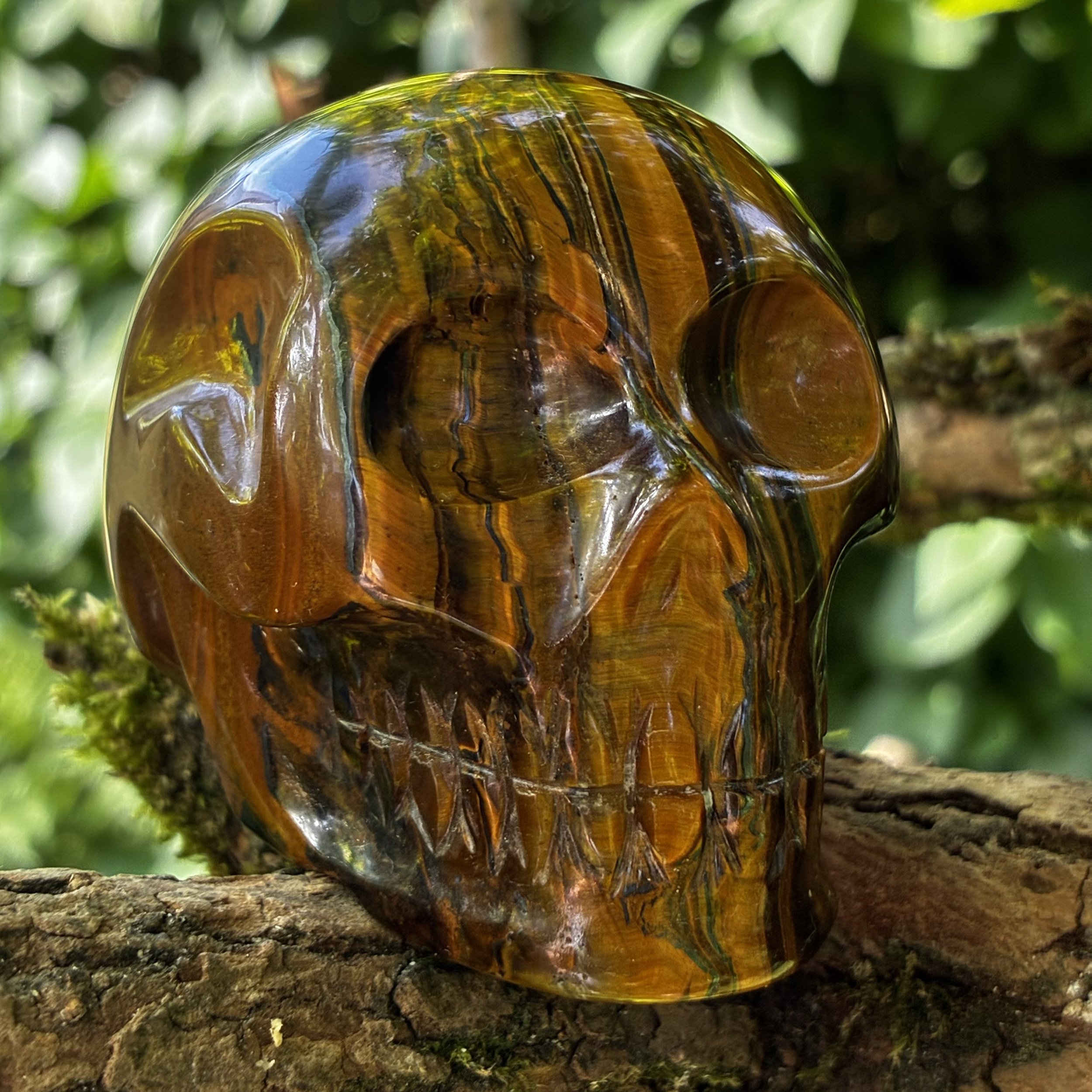Premium Tiger's Eye Crystal Skull from Brazil, 344g 3 inch