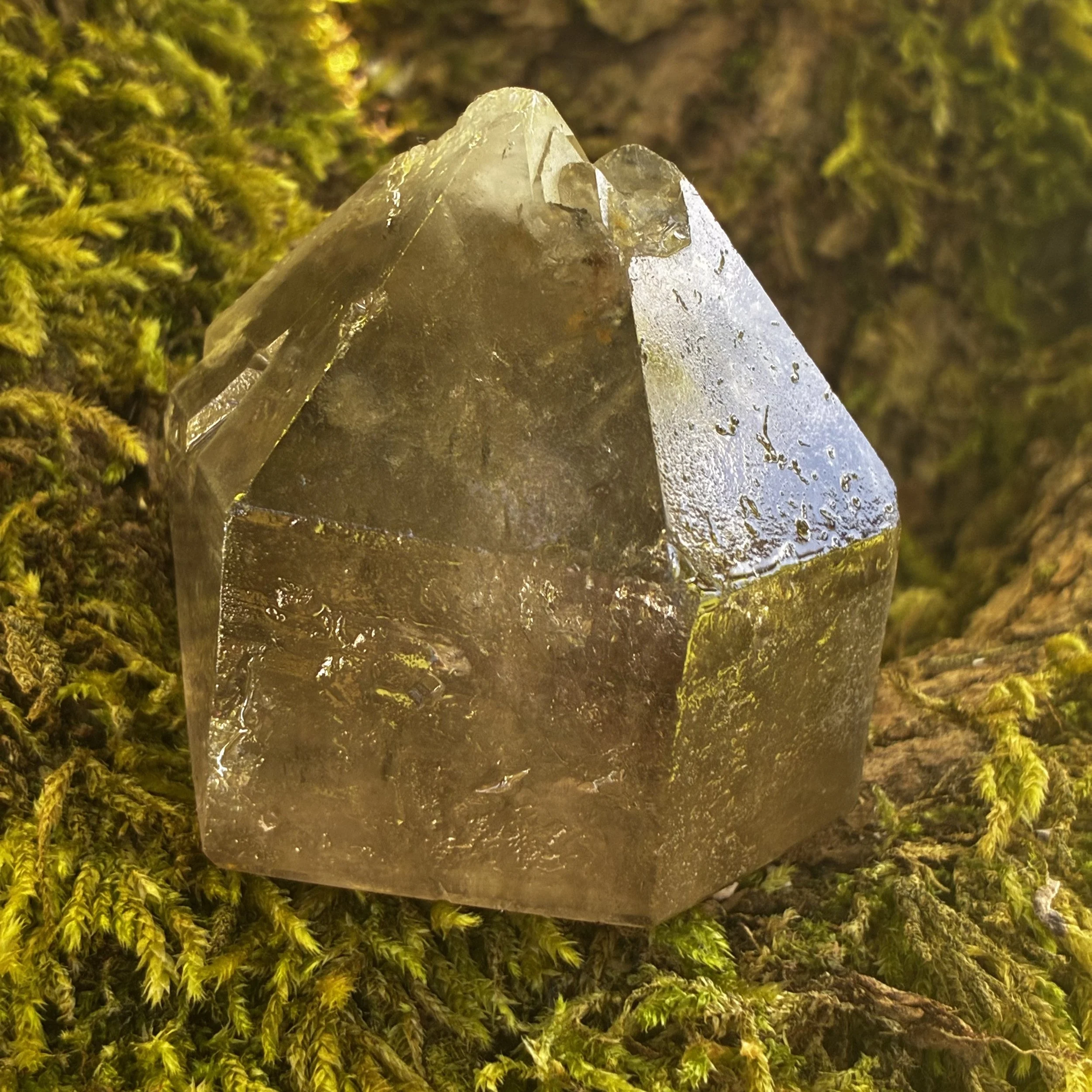 Natural Brazilian Smokey Quartz with Emerging Elestial Formation, 158g