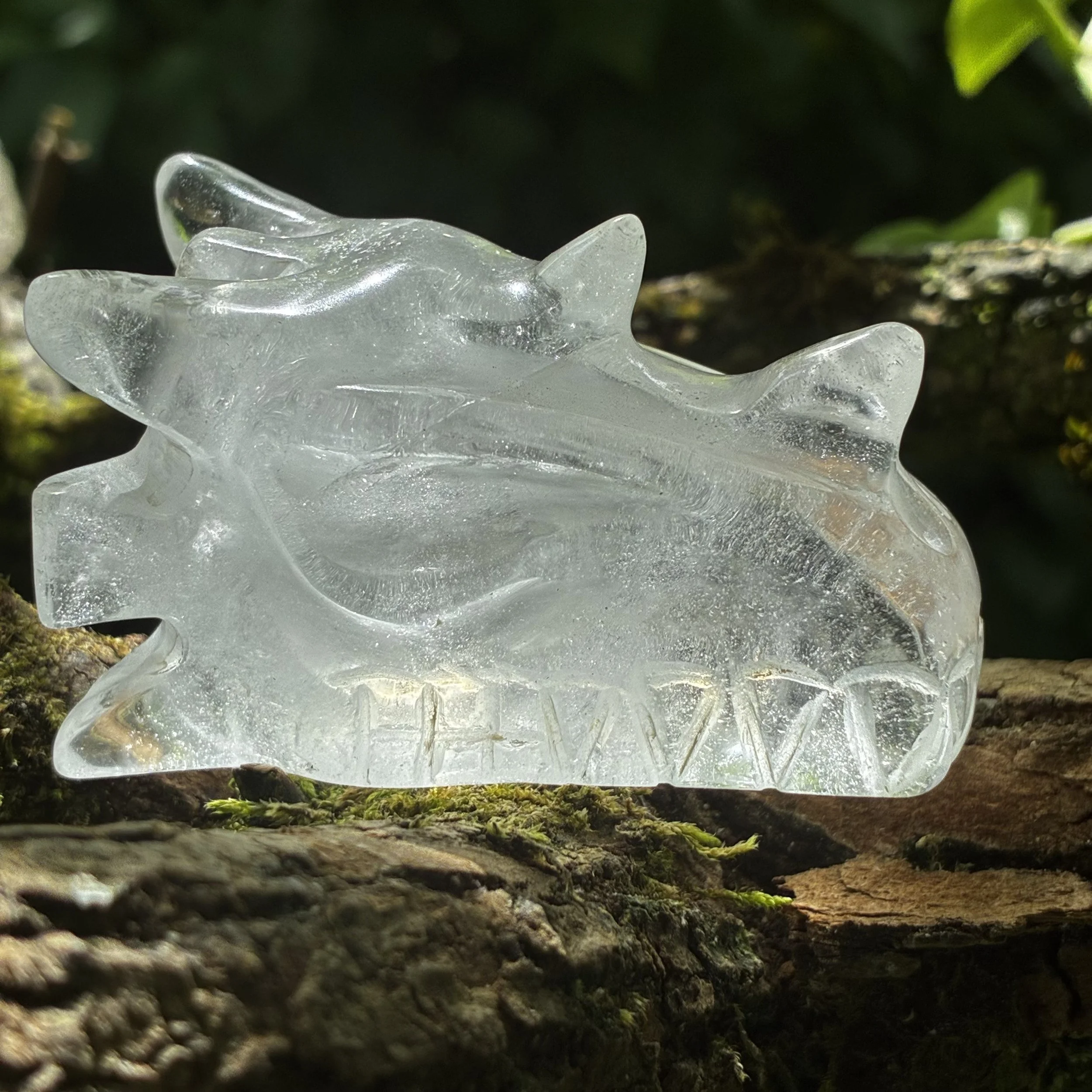 Clear Quartz Brazilian Carved Dragon, 101g
