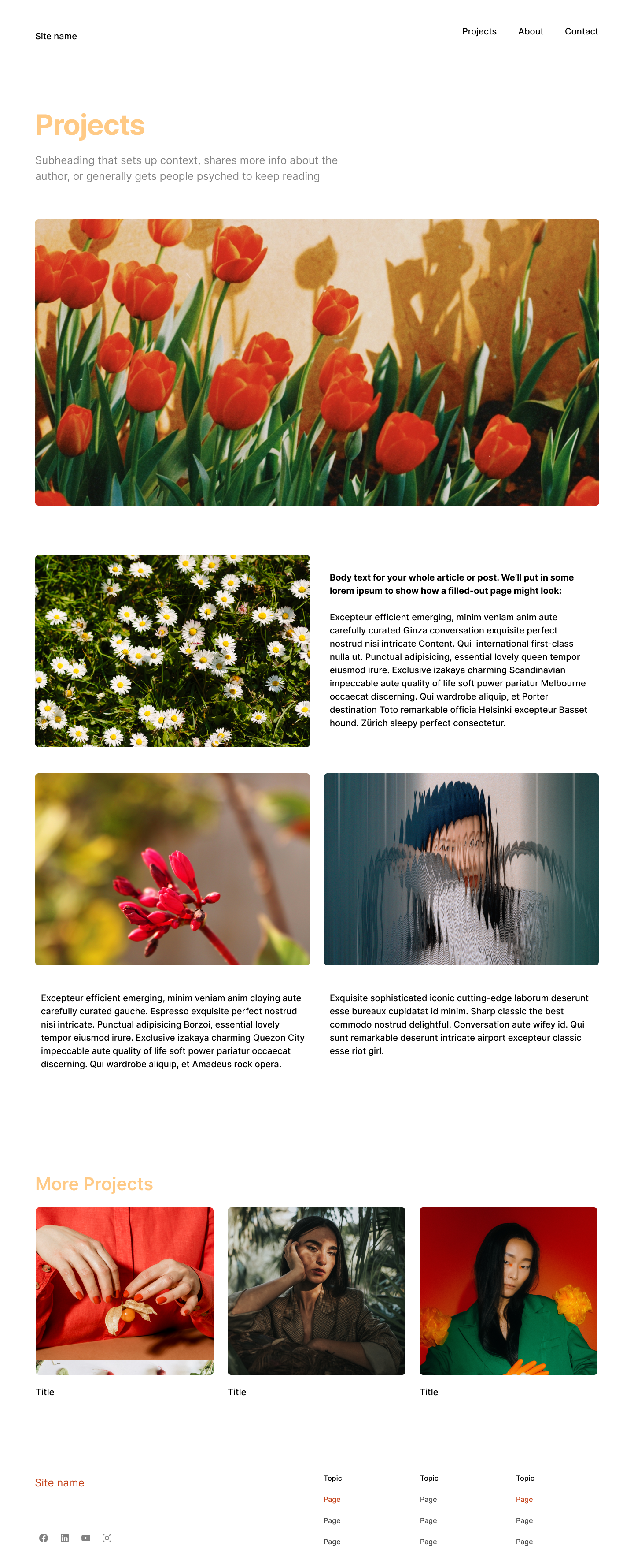 Projects Page V2 copy.png