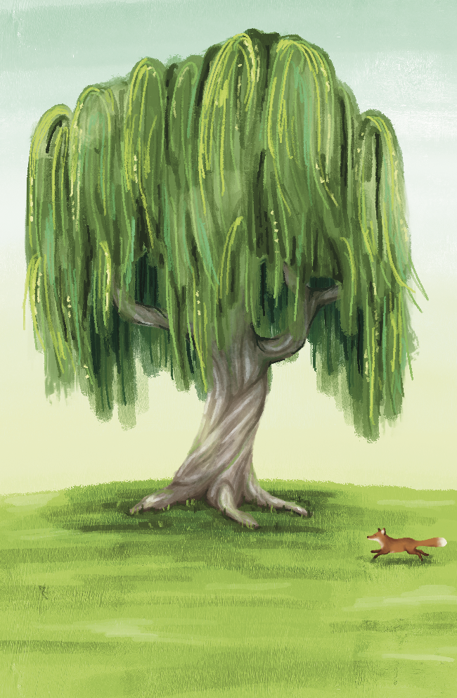 IMG_2325.PNG