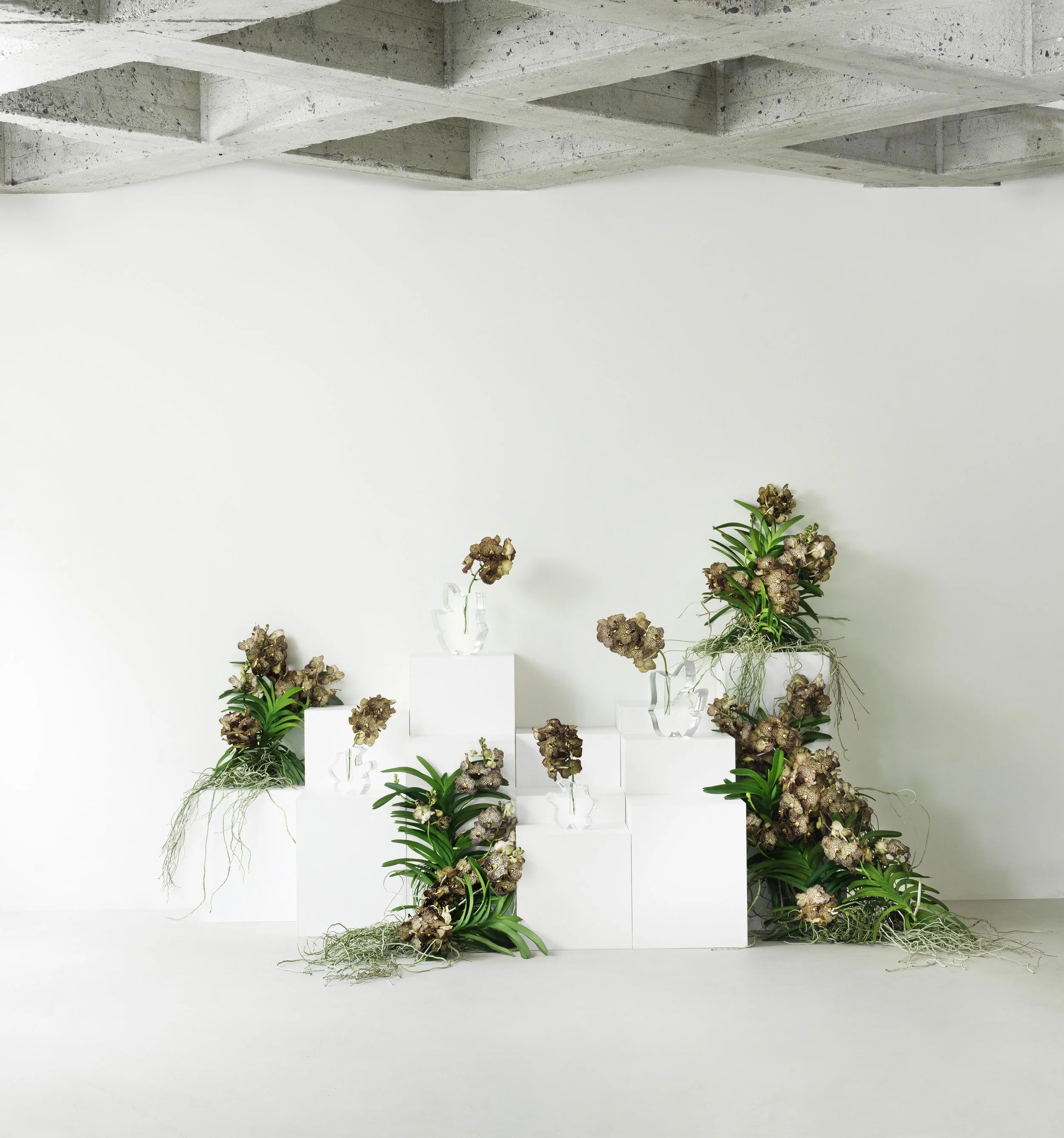 TABLEAU X NORMANN