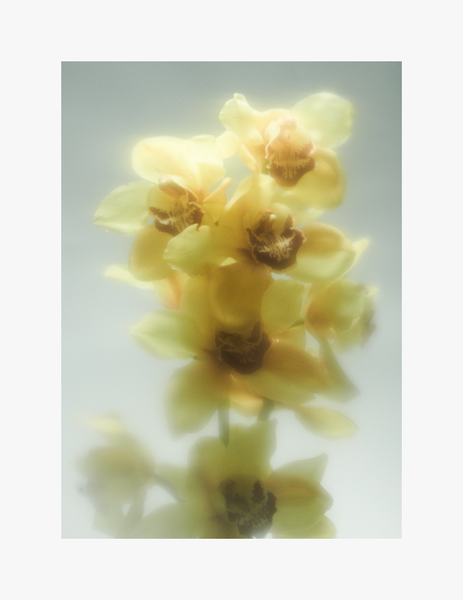 TABLEAU X STORM: DRIPPING POSTER NO. 1