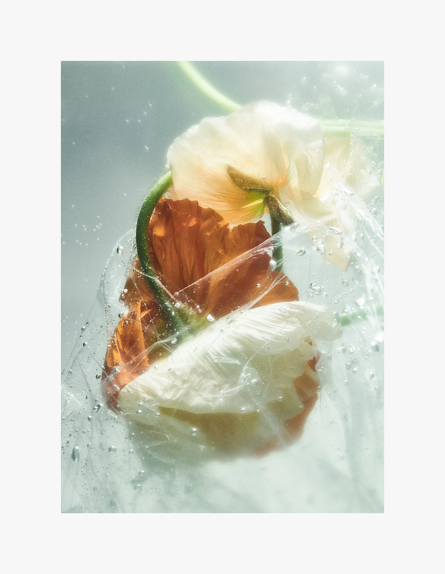 TABLEAU X STORM: DRIPPING POSTER NO. 2