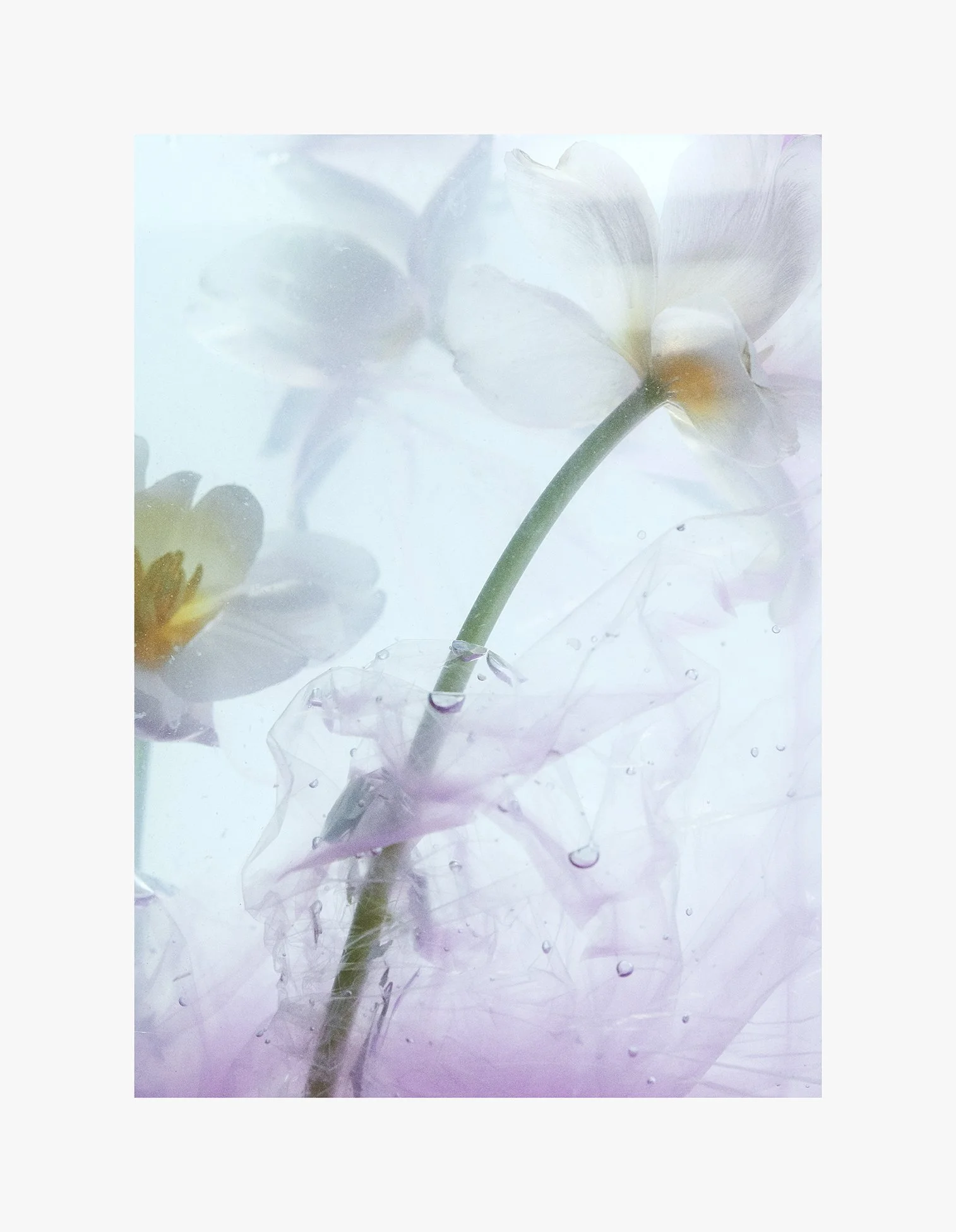 TABLEAU X STORM: DRIPPING POSTER NO. 3