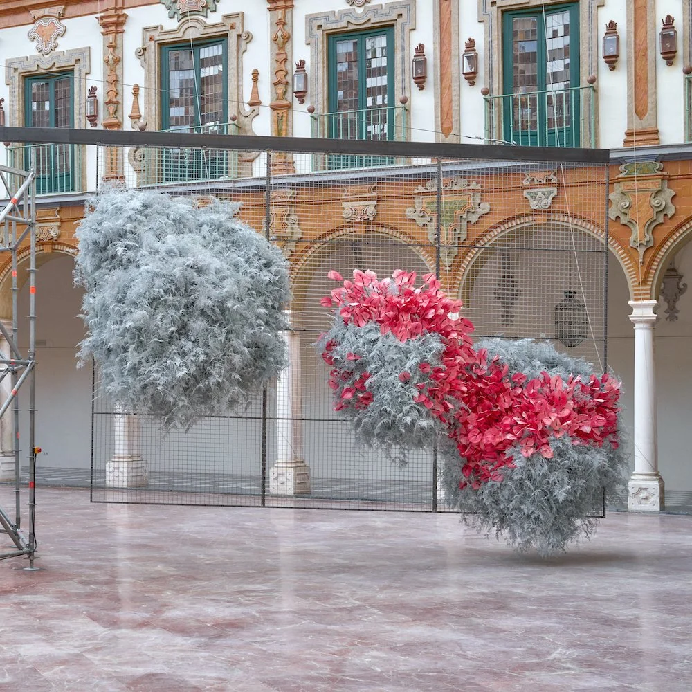 FLORA (FREDERIKKE NØRGAARD_2_square.jpg