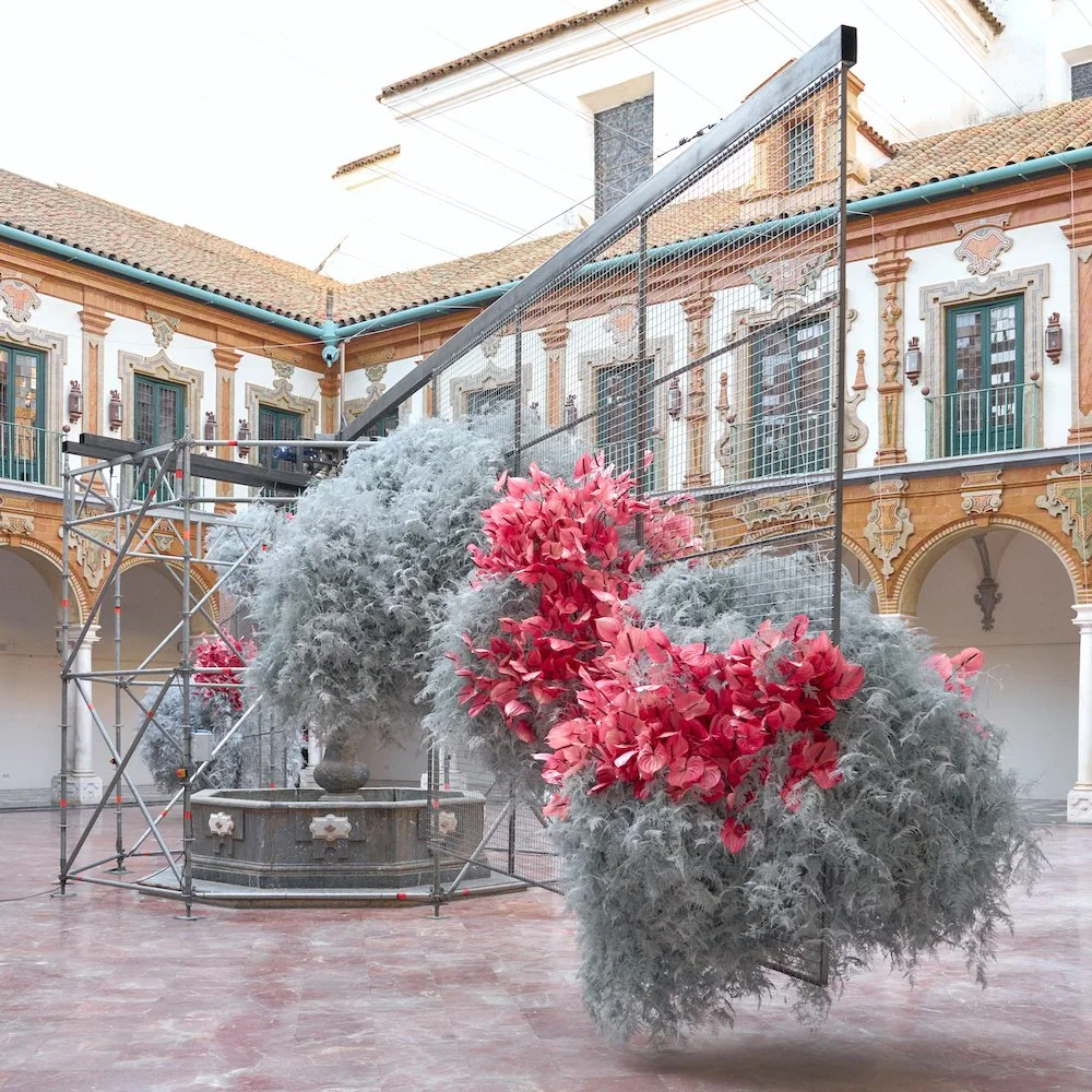 FLORA (FREDERIKKE NØRGAARD_4_square.jpg