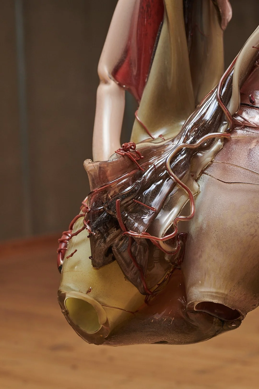 Close-up of a human anatomical model with visible organs and veins