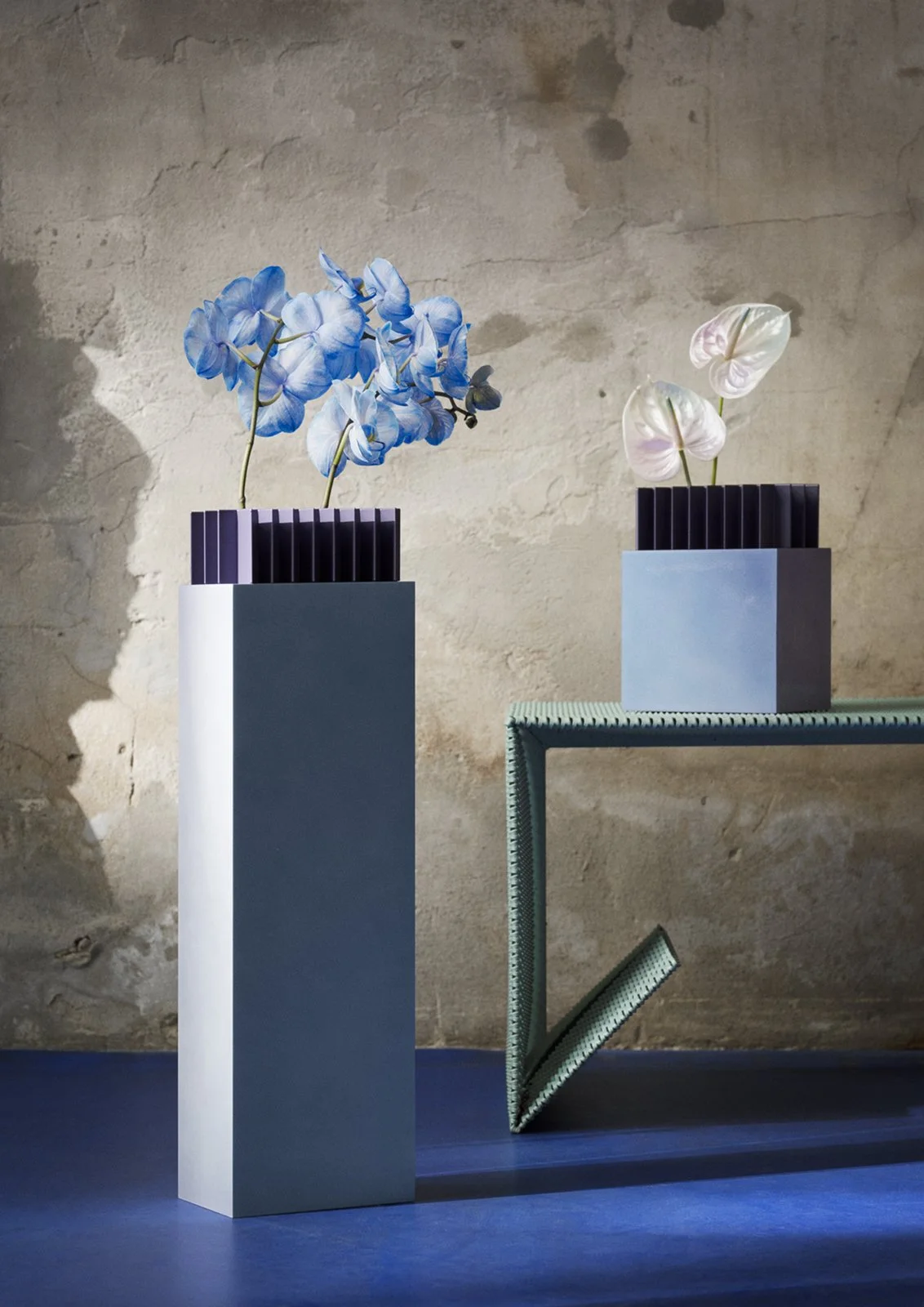 AURORA (@lasse.jpeg) 1.jpg