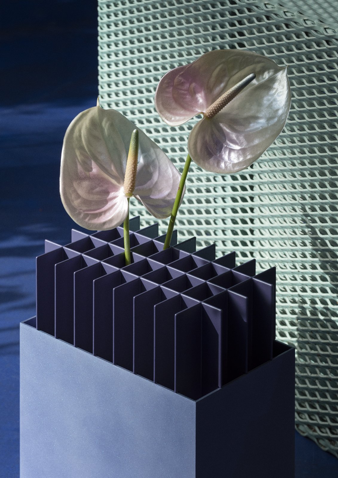 AURORA (@lasse.jpeg) 3.jpg