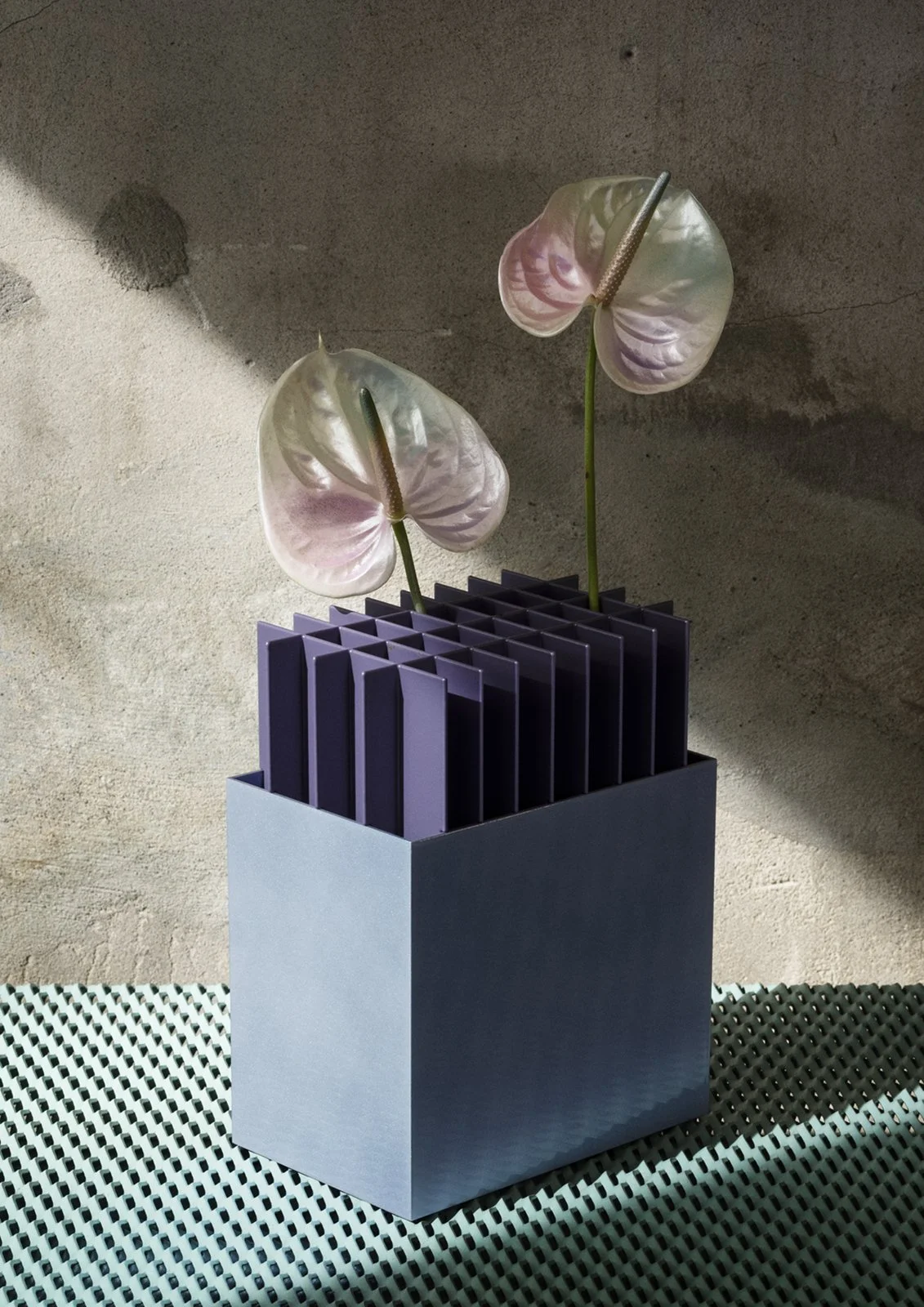 AURORA (@lasse.jpeg) 2.jpg