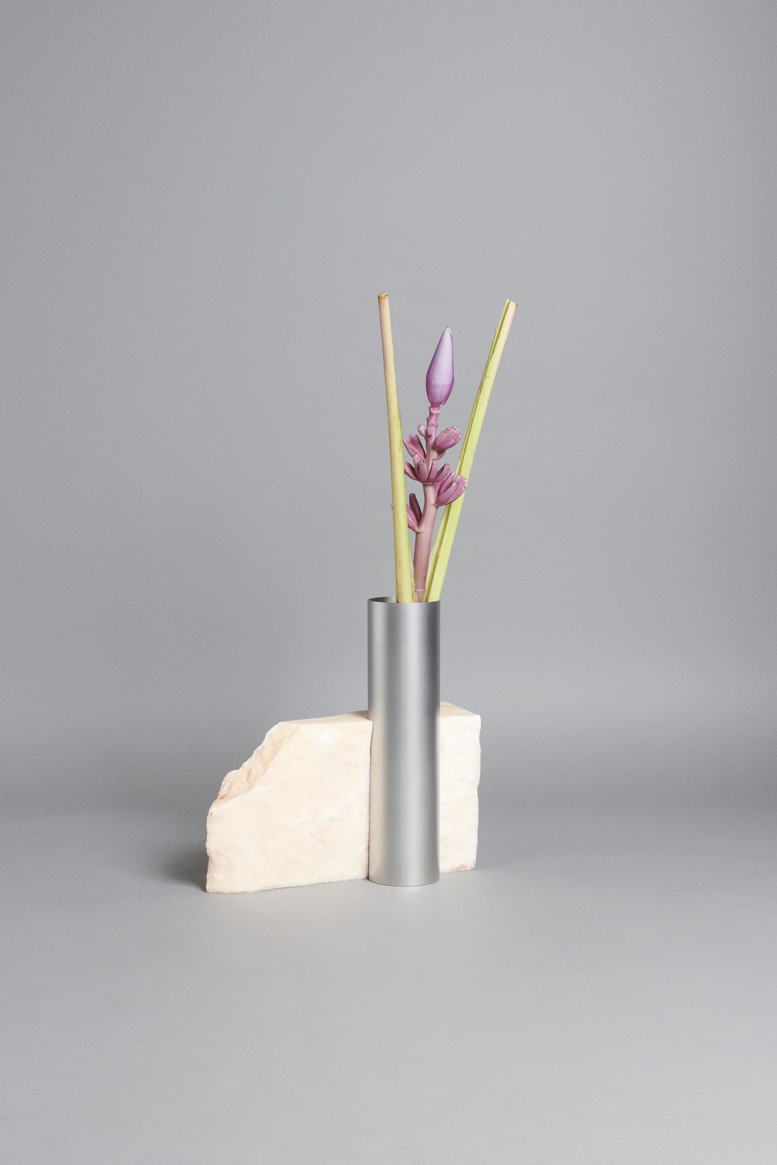 TABLEAU_BLOC_STUDIOS Portugal Pink_flower.jpg