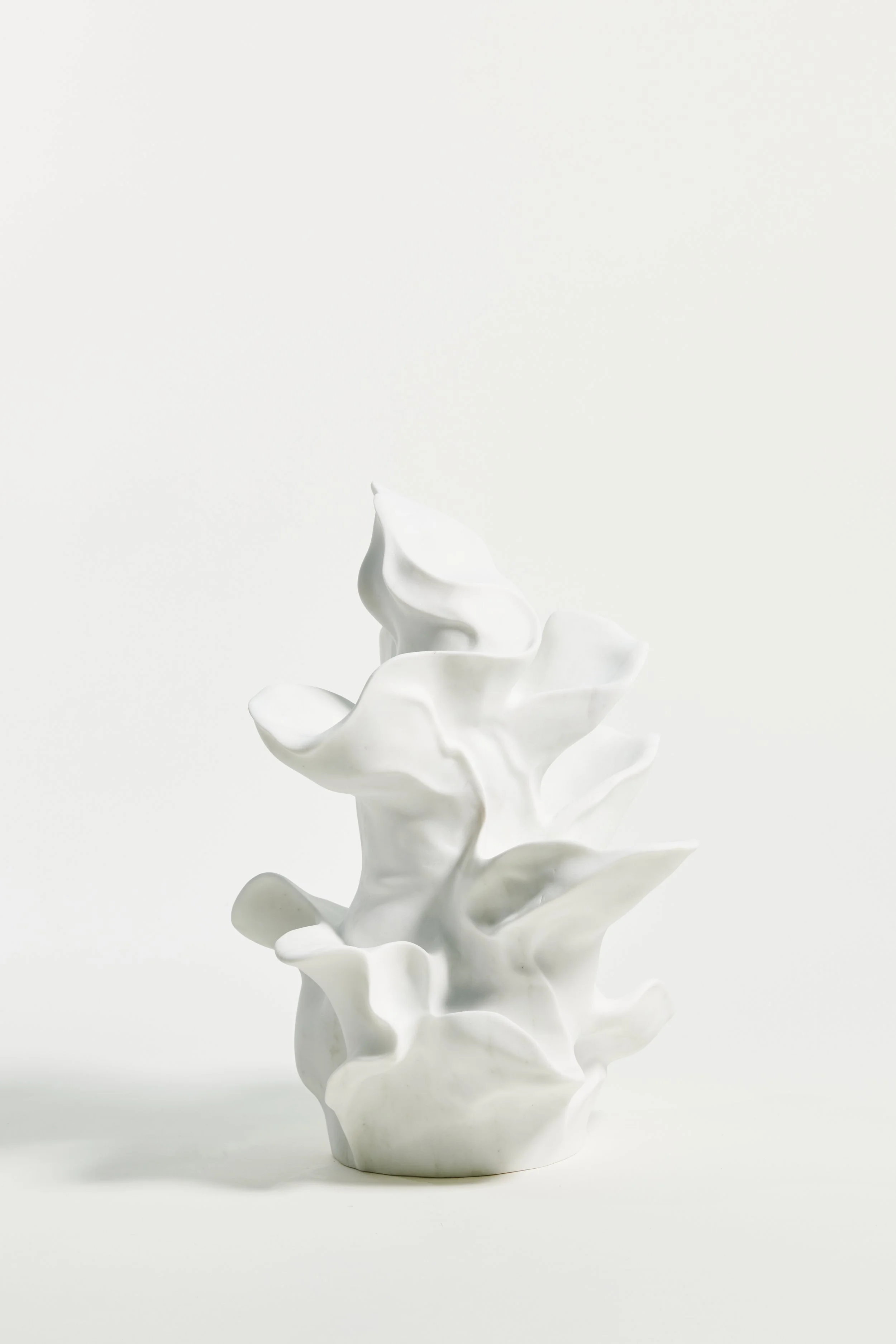 CAPPUCCINO BY ANDRÉS REISINGER