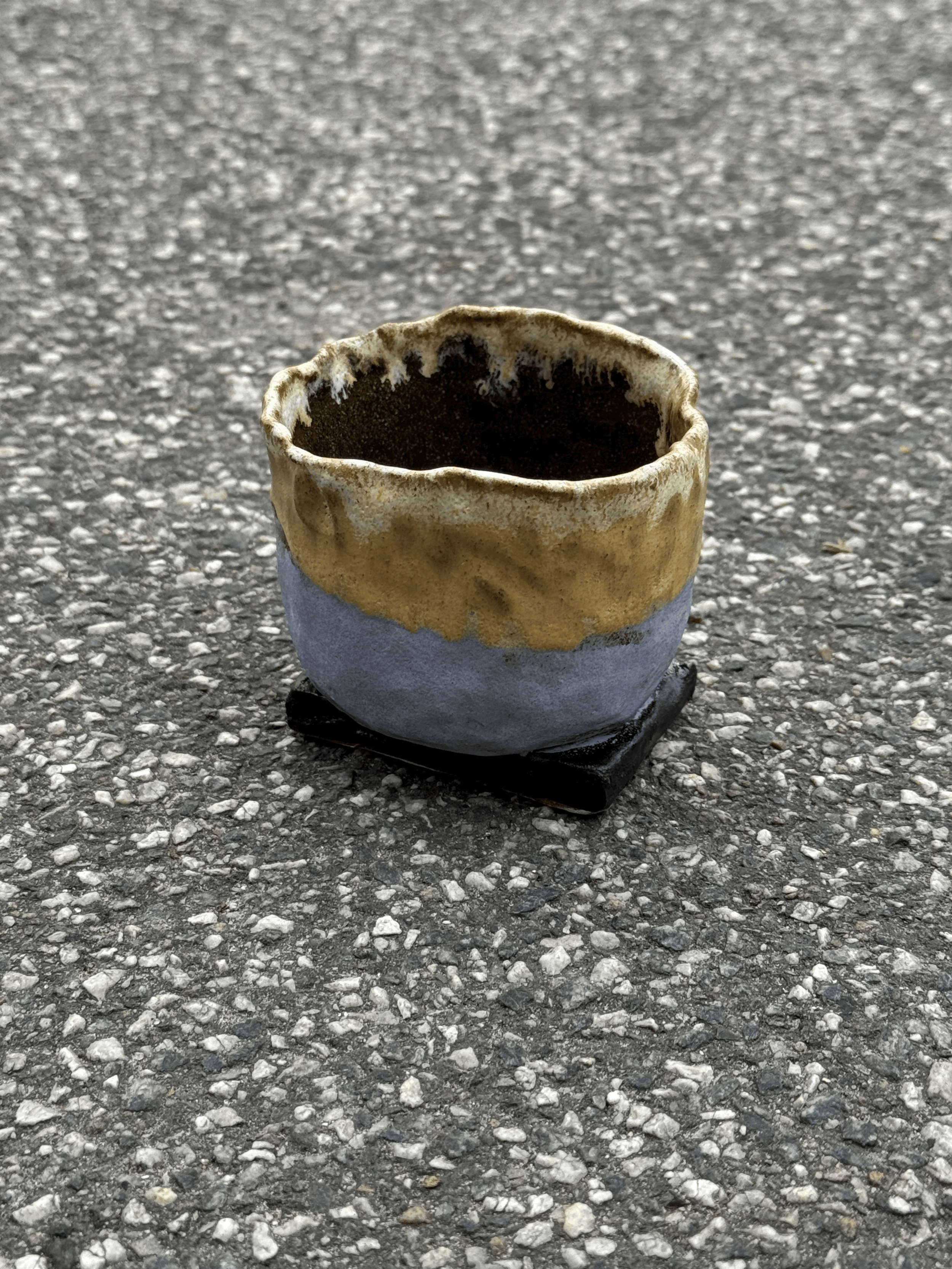 Ida Thonsgaard, daydream cup