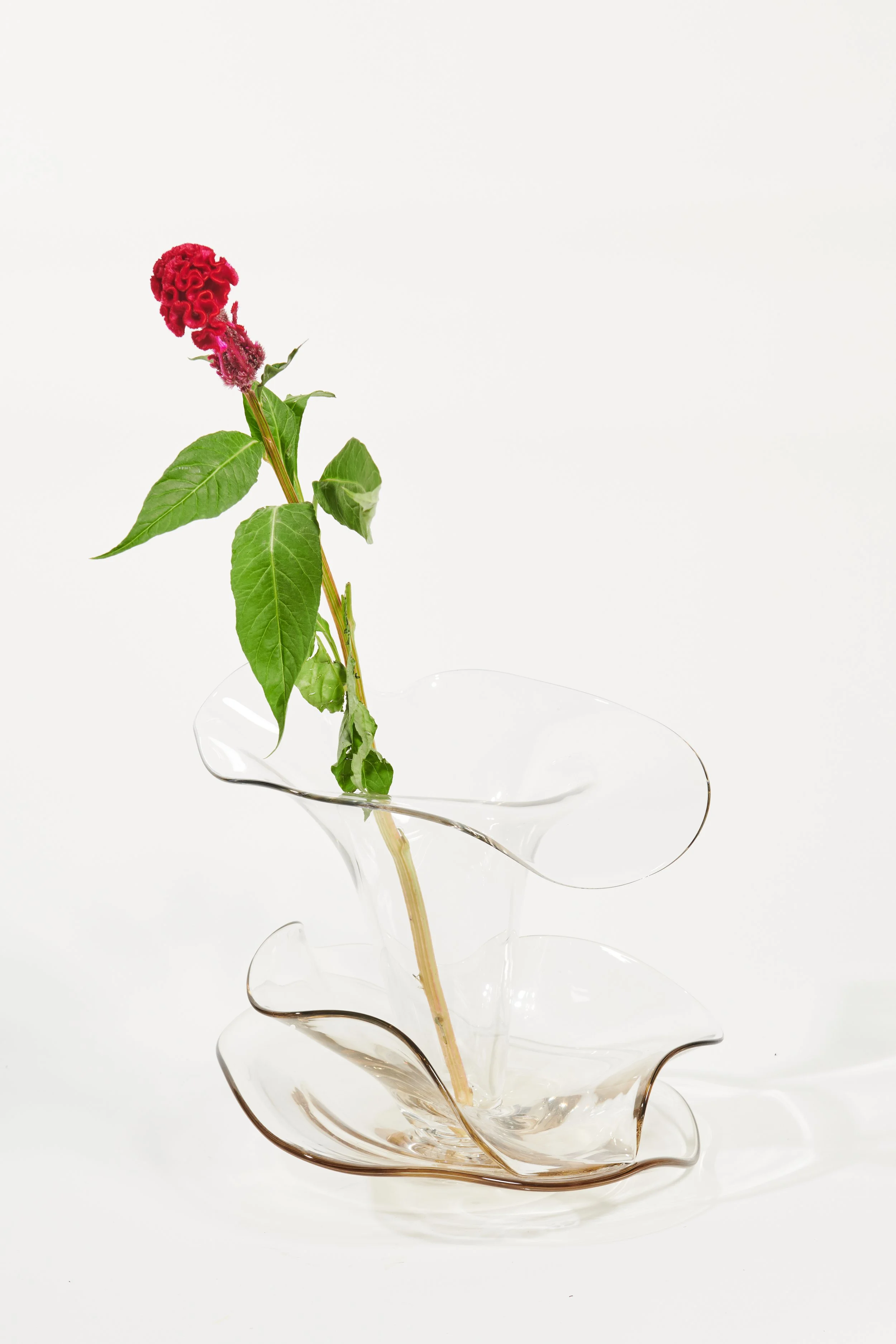 Edition Solenne_3DD_E-Comm_High Resolution- 100.jpg