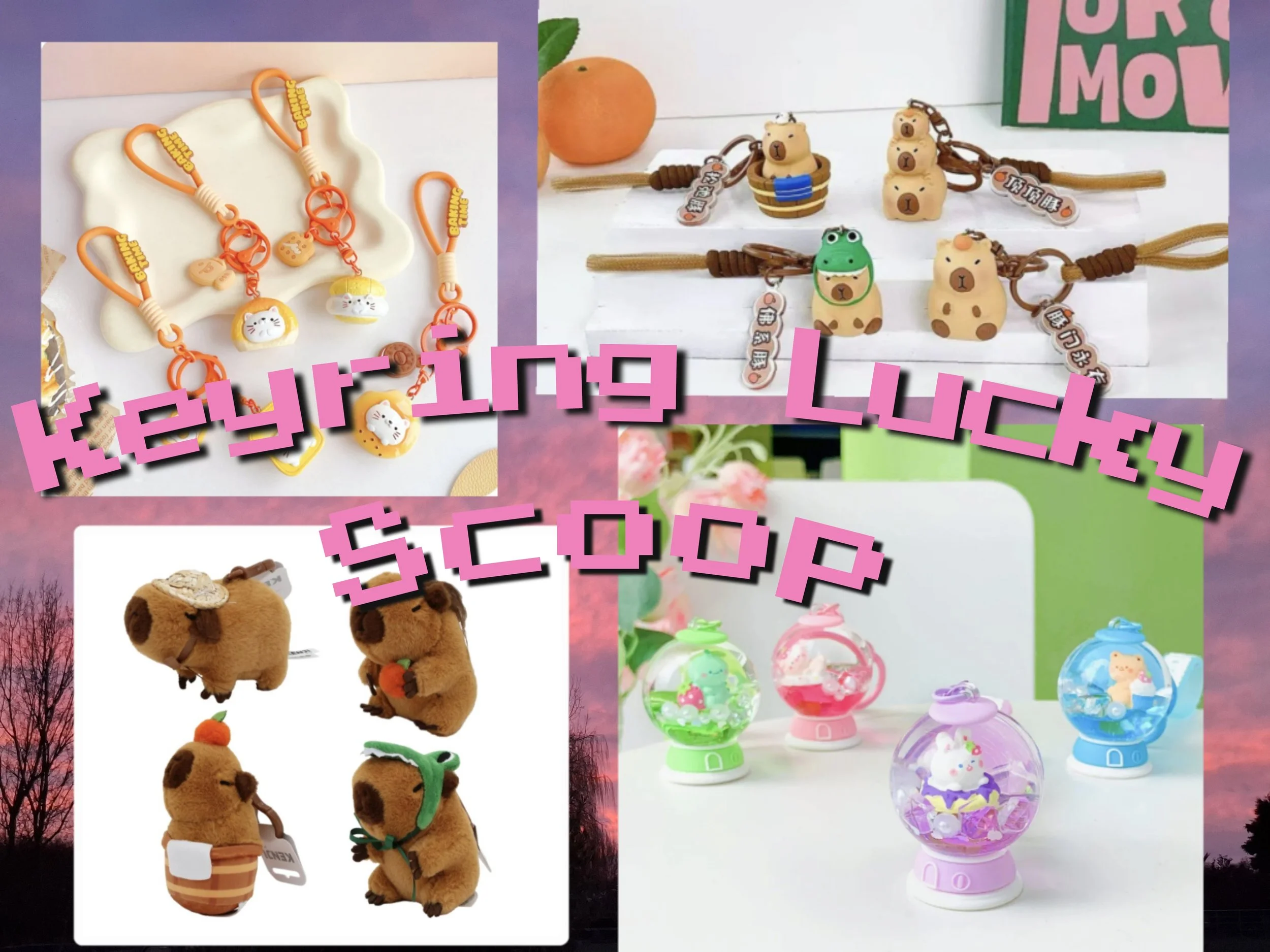 Kawaii Keyring Lucky Scoop