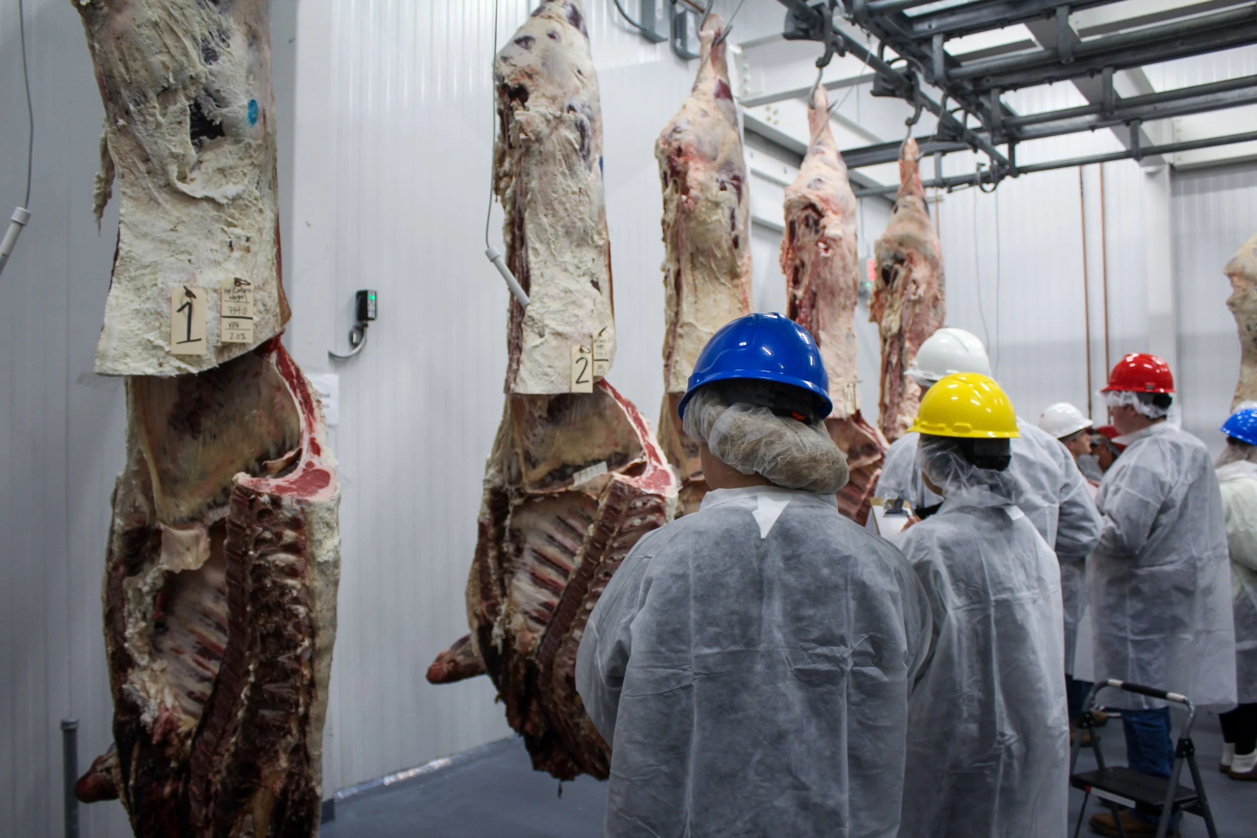Georgia FFA State Meats Evaluation • CDE Canon T6i | 18-55mm