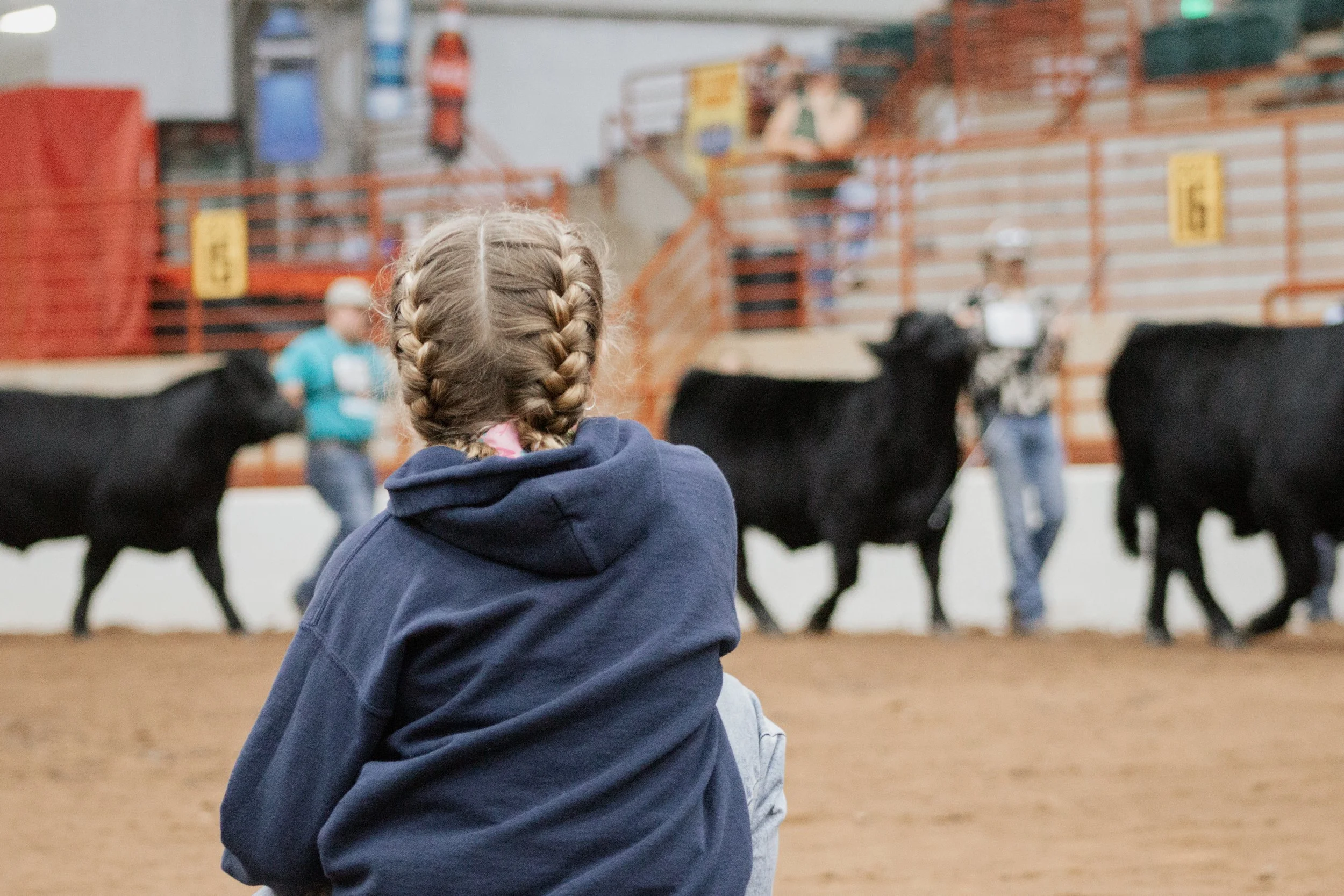 Livestock judging competitor evaluating at the NALJA show • Canon T6i | 75–300mm