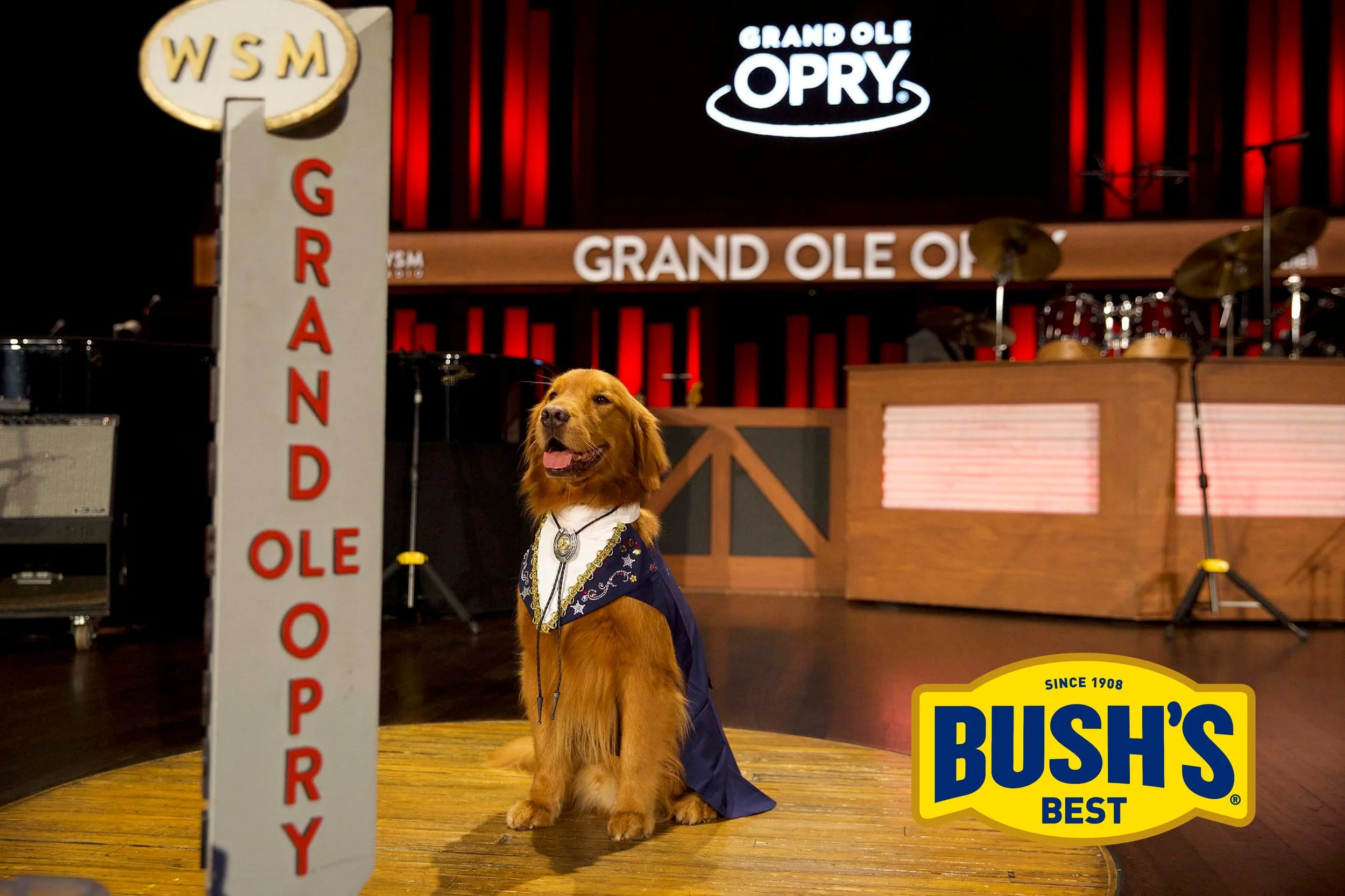 A golden retriever dressed in a bandana and a ceremonial sash sitting on a wooden stage at the Grand Ole Opry, with a sign that reads 'GRAND OLE OPRY' in the background and a Bush's Best logo in the lower right corner.