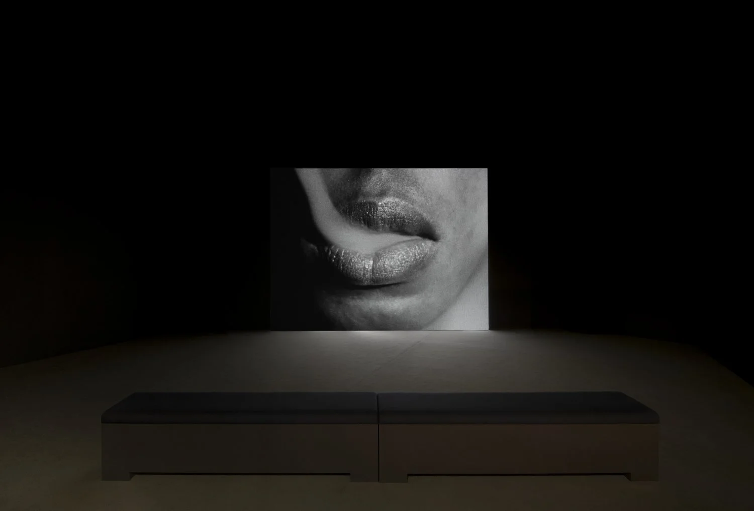 Installation Photography of Isaac Julien, 2023_048.jpeg