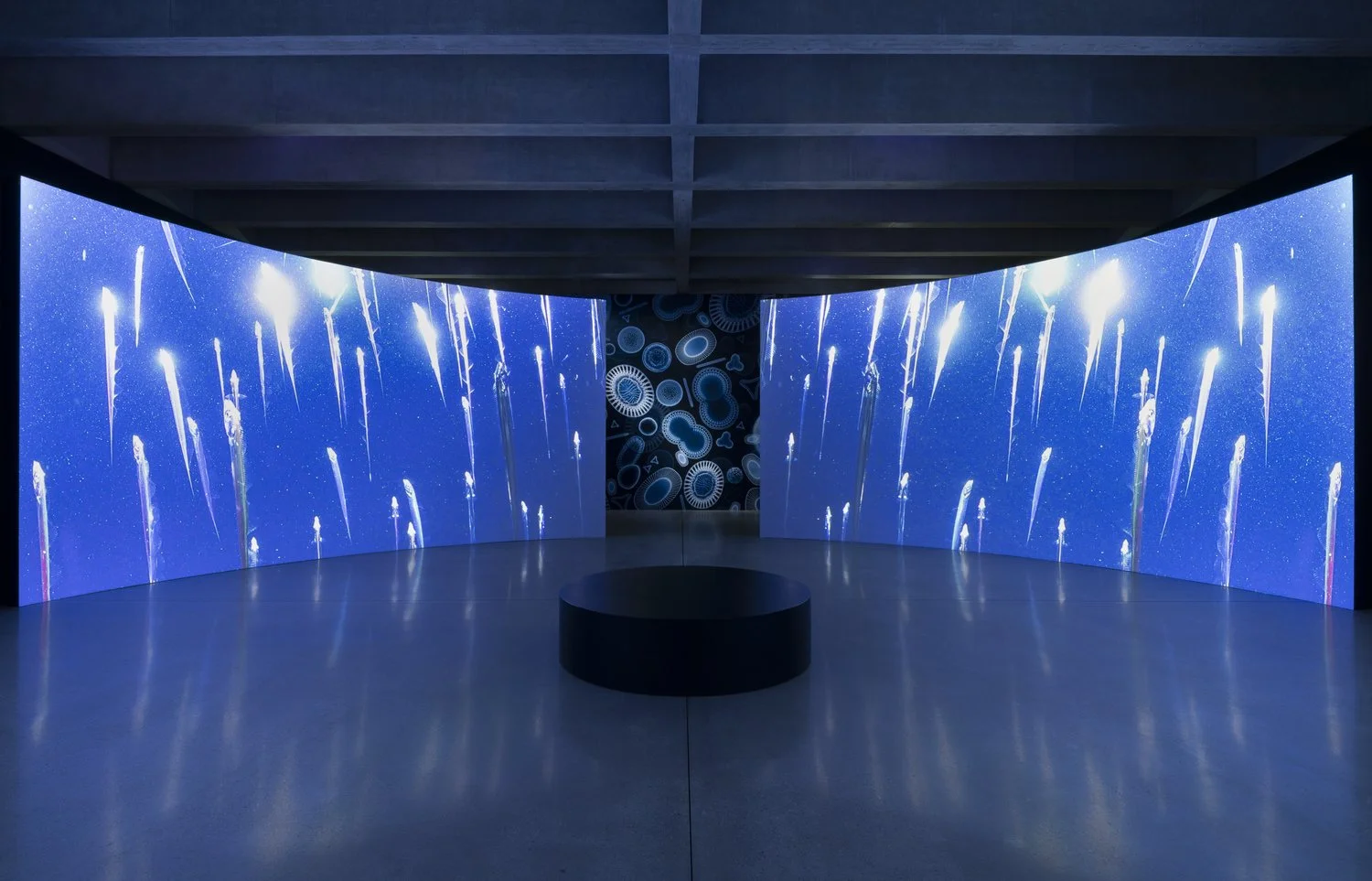 Installation Photography_Emilija Škarnulytė_2026_024.jpeg